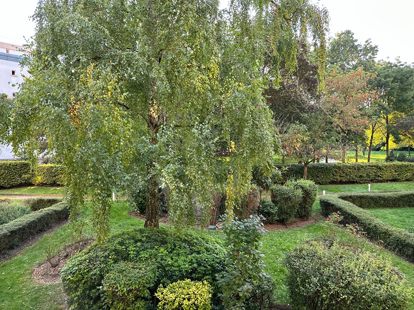 Appartement Maisons Alfort 4 pièce(s) 87 m²