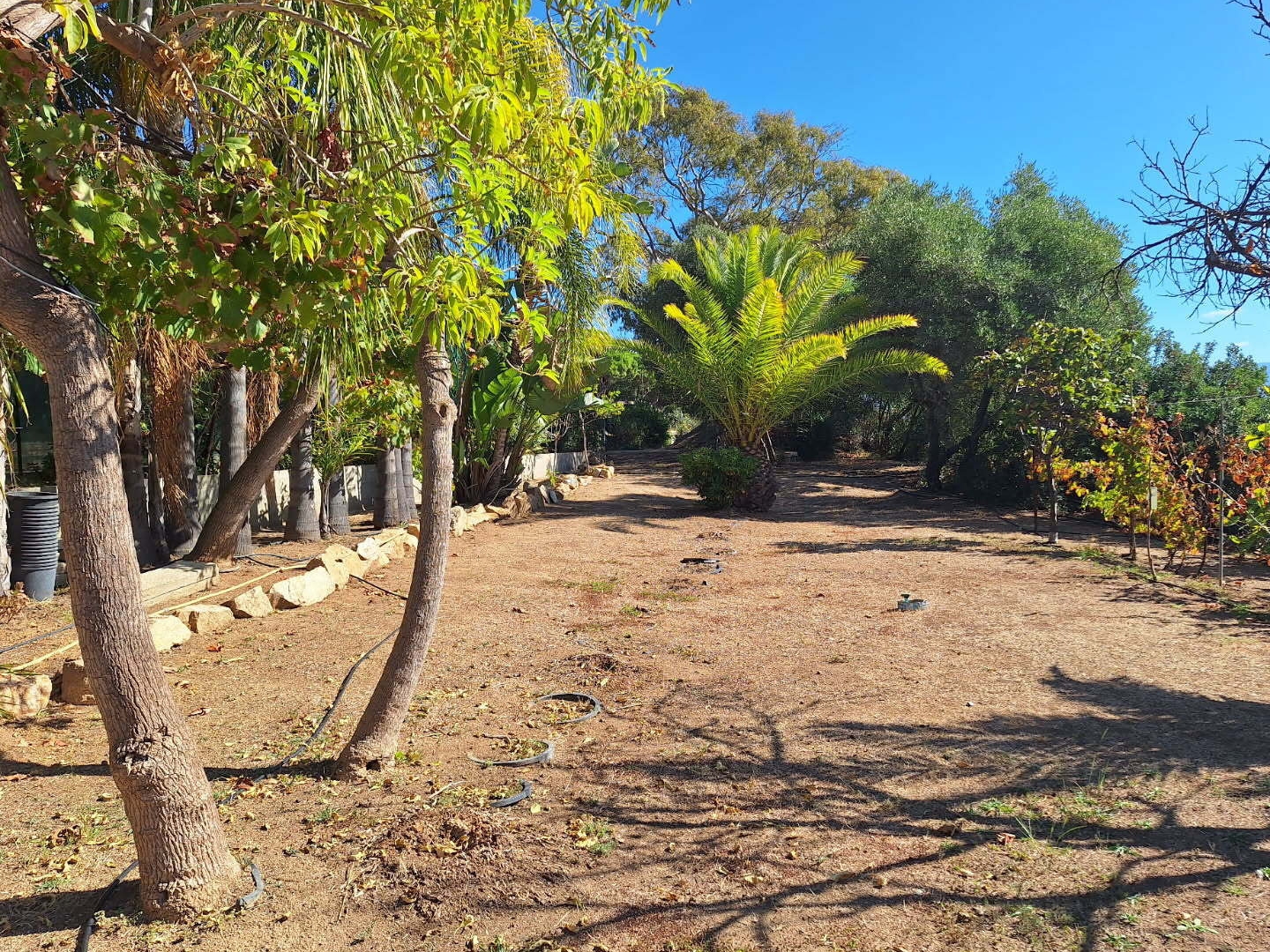 Maison à vendre - 4 pièces - 120m2 - Ajaccio (20000)