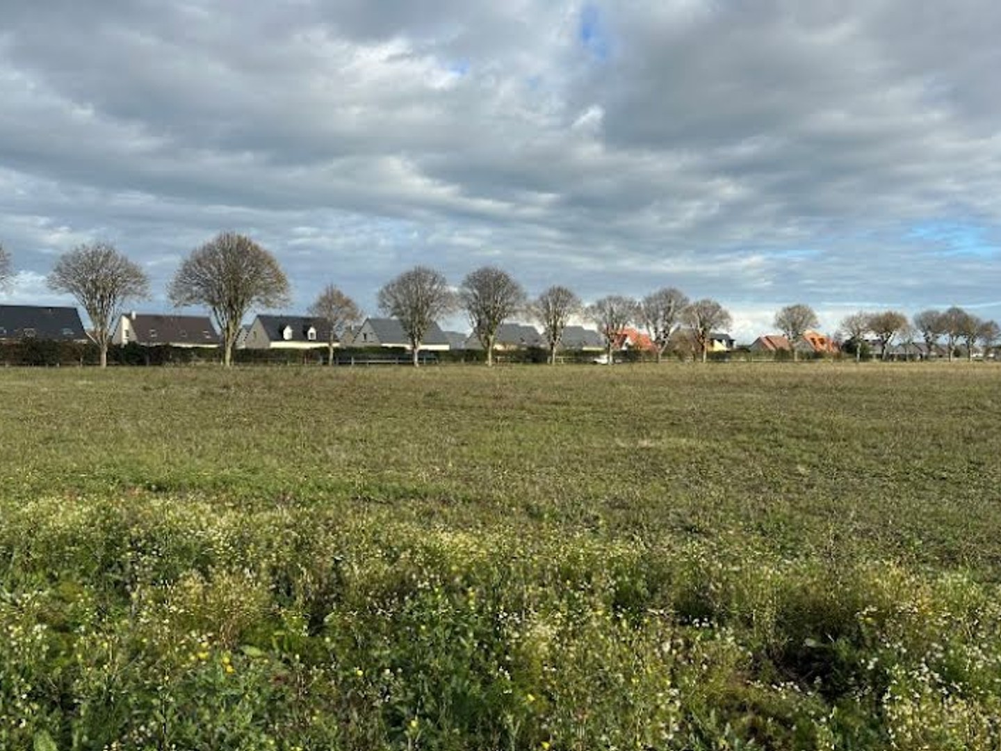 Terrain 445 m²