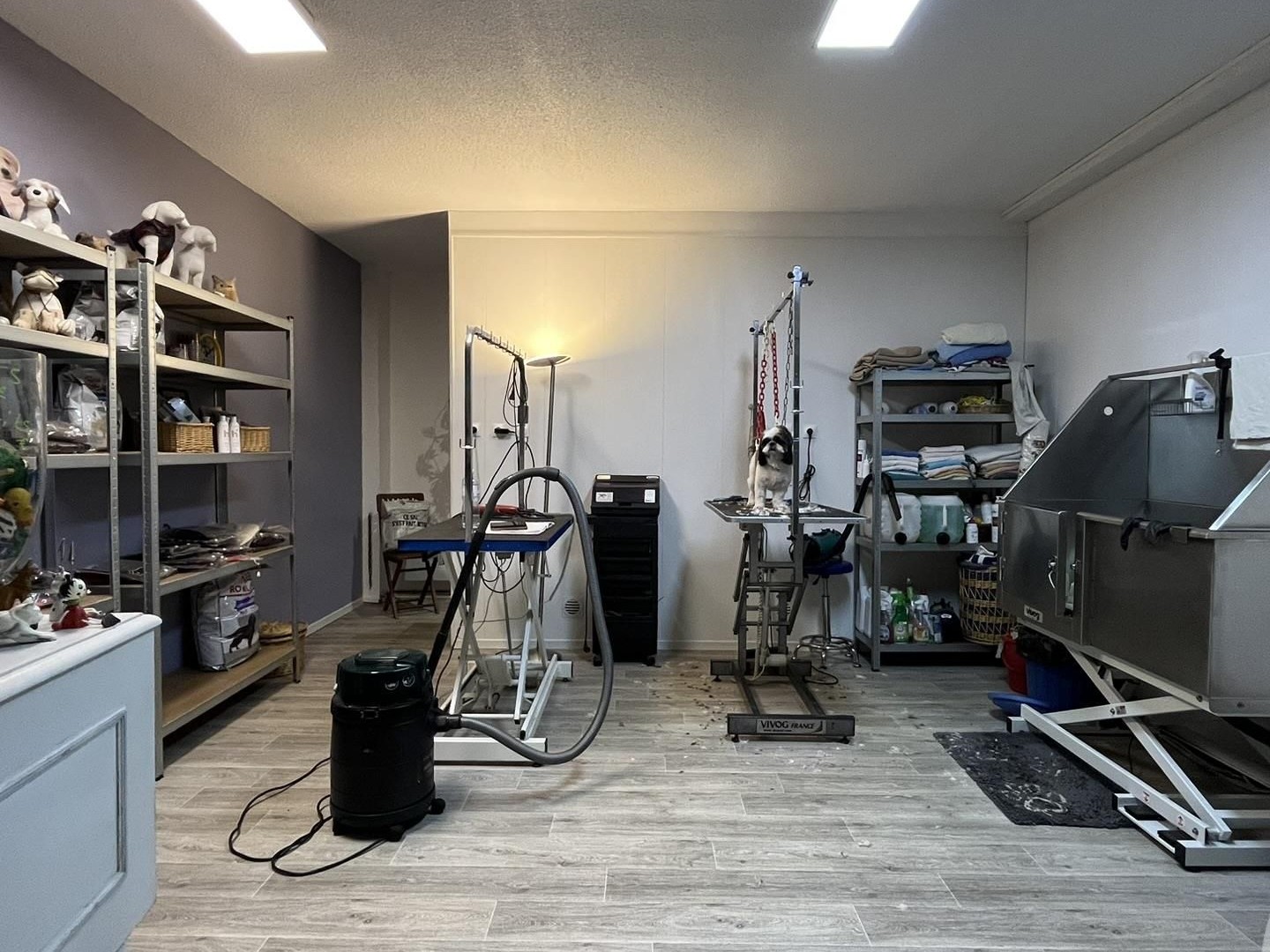 Local 31 m²