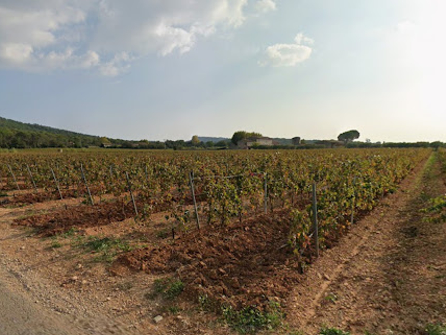 Terrain à vendre - 260000m2 - La Londe-Les-Maures (83250)