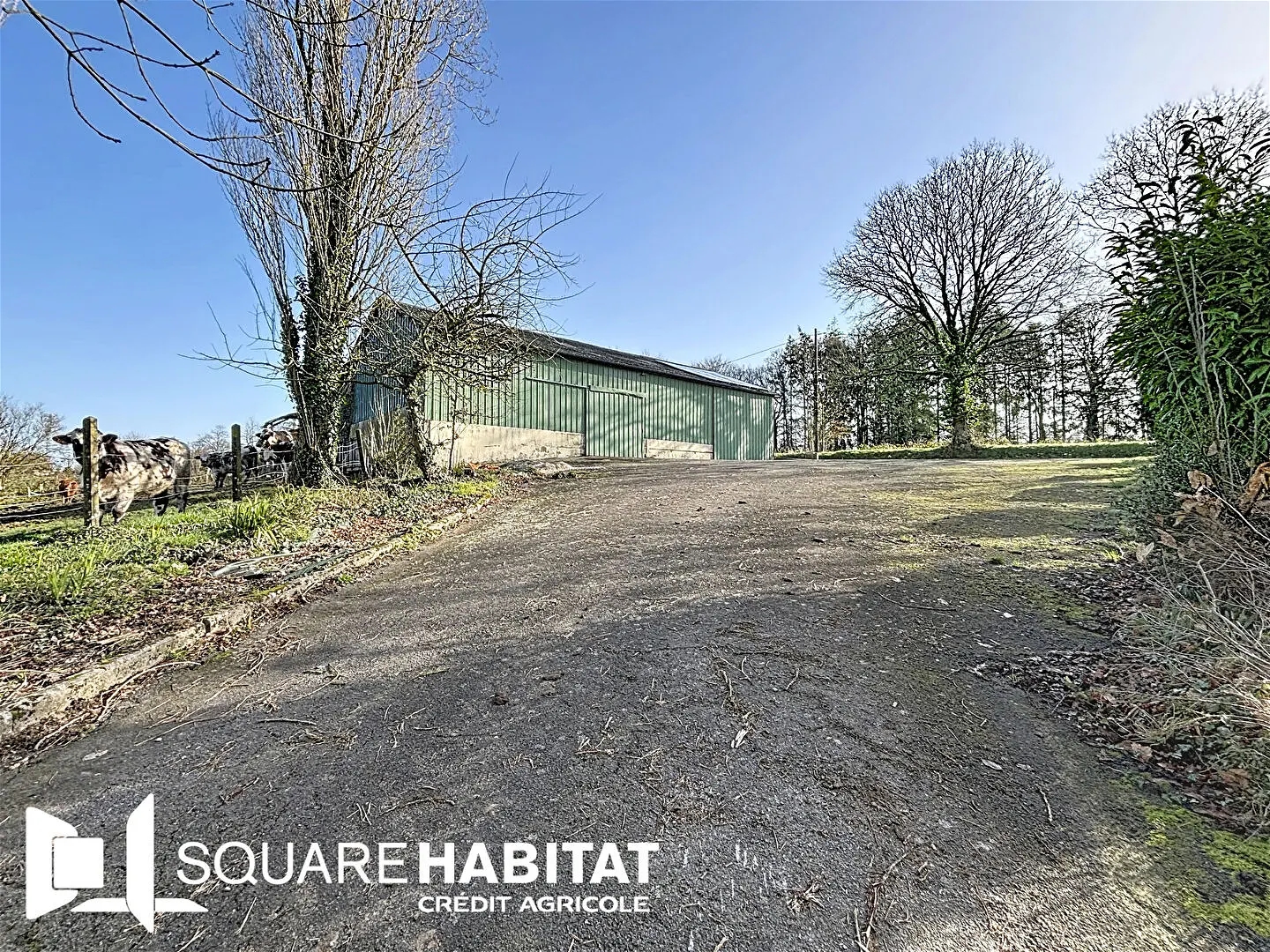 Terrain 231 m²