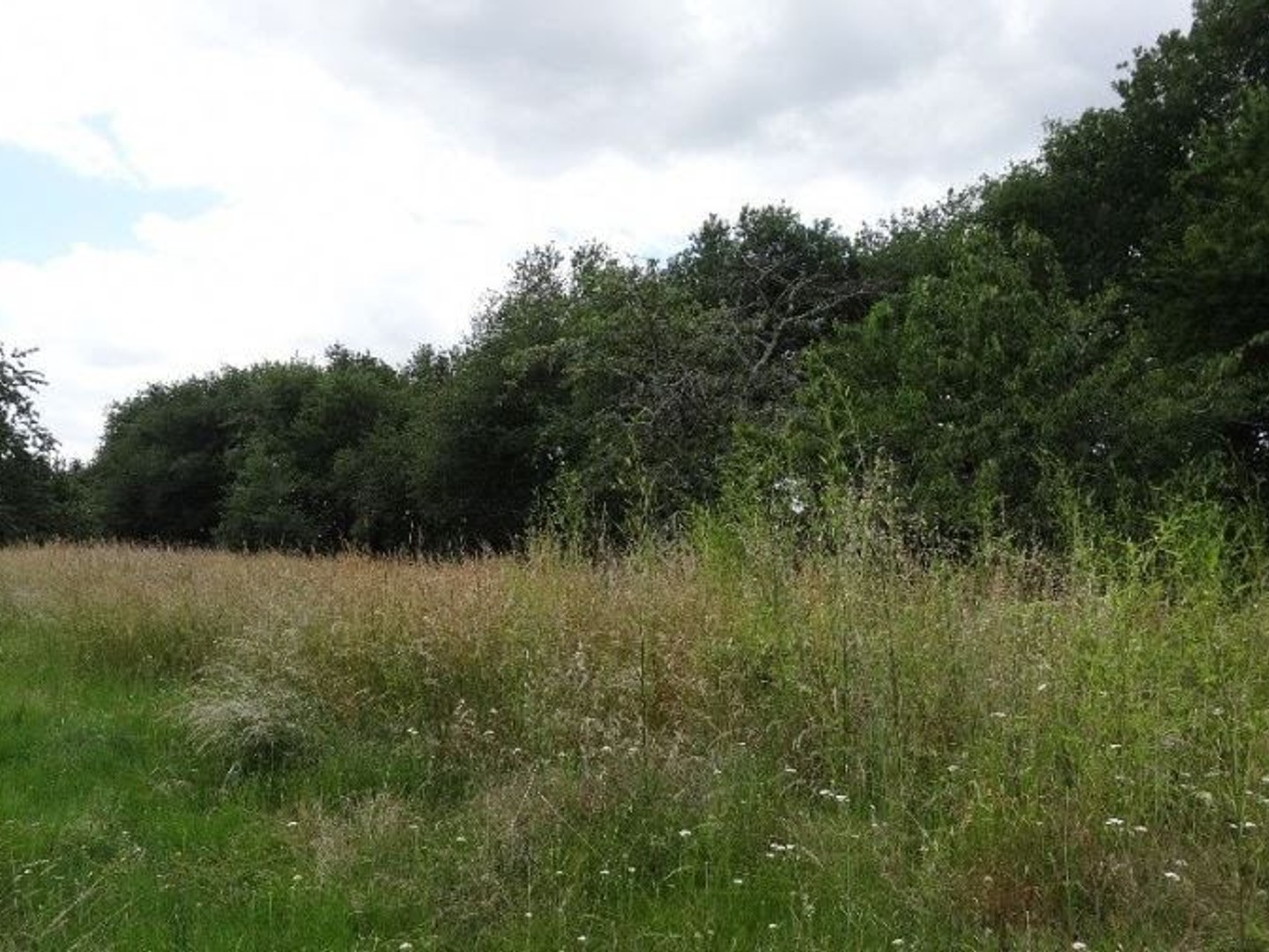 Terrain 500 m²