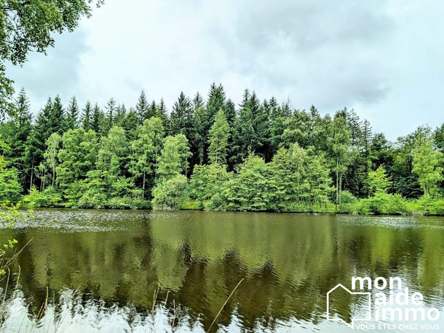 Terrain à vendre - Pensol (87440)