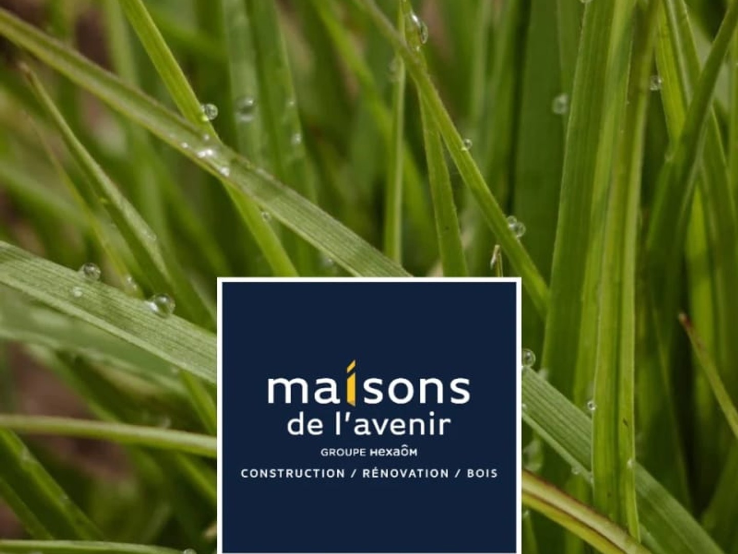 Terrain 928 m²