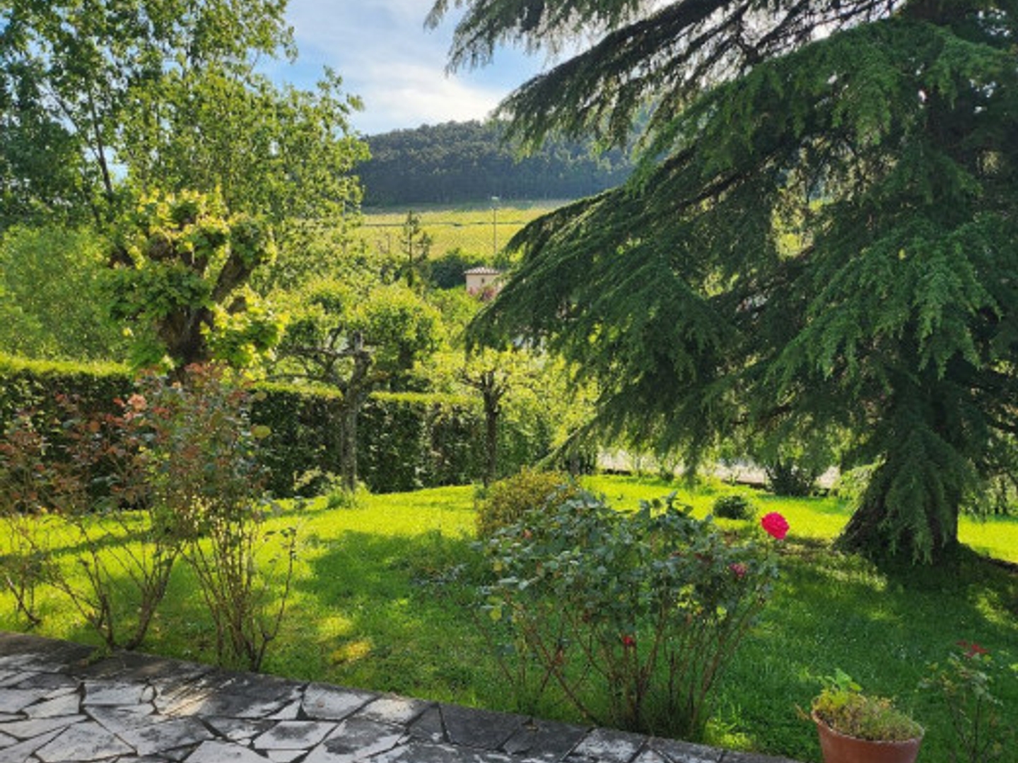 Maison à vendre - 8 pièces - 170m2 - La Roche-Vineuse (71960)
