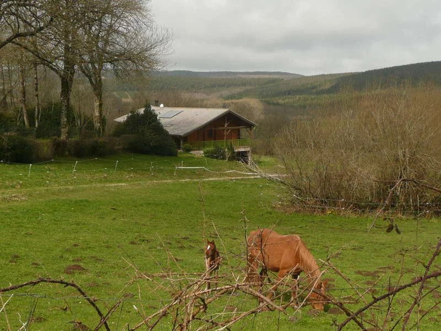 belle maison d'habitation de type forestier, plain pied sur 4.7 H