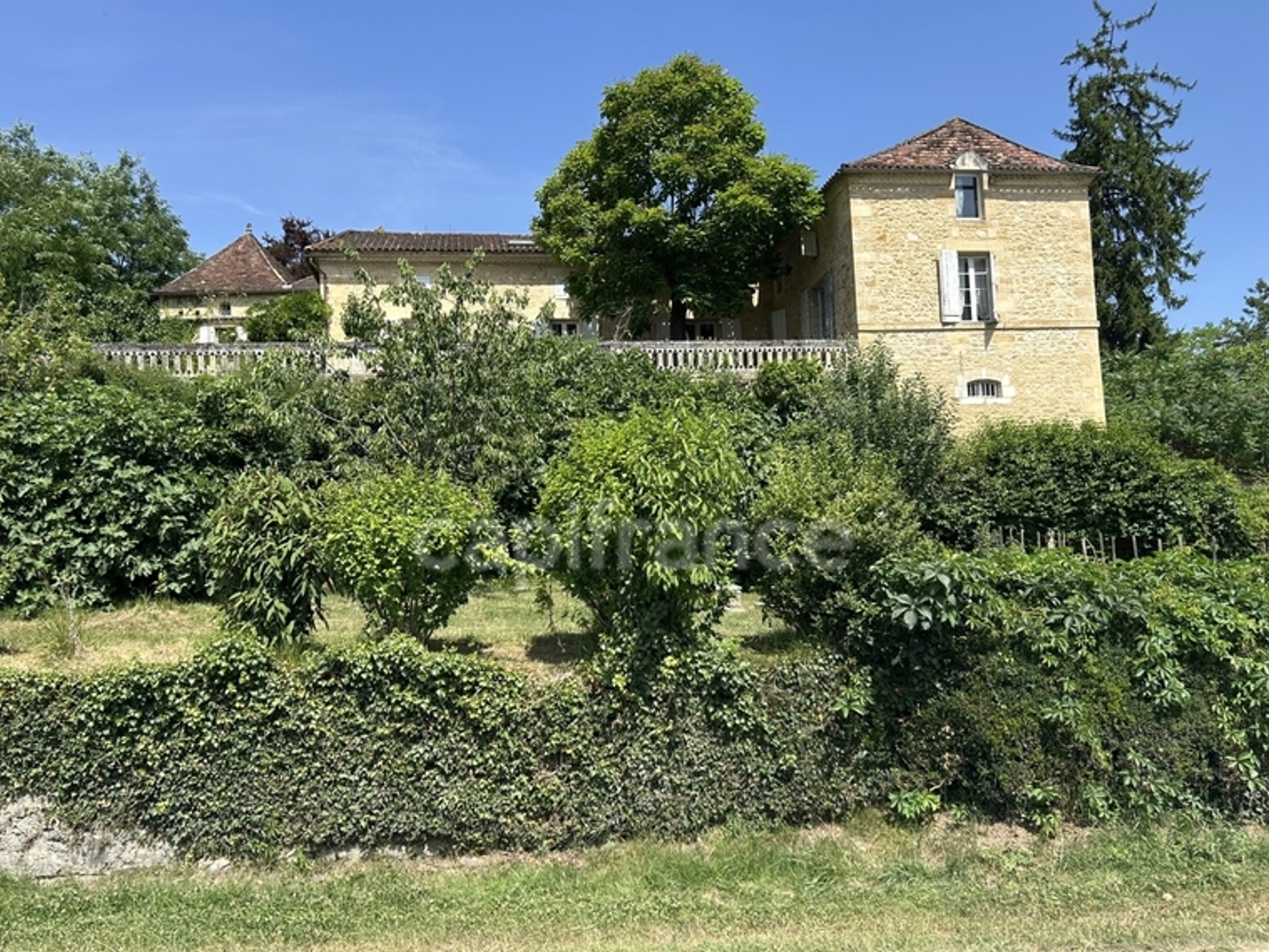 Maison à vendre - 17 pièces - 466m2 - Saint-Cyprien (24220)