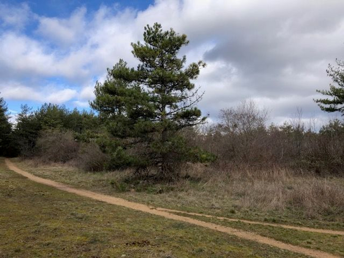 AUX PORTES SUD DE DIJON TERRAIN LANDES BOIS SUR 1 HA 68