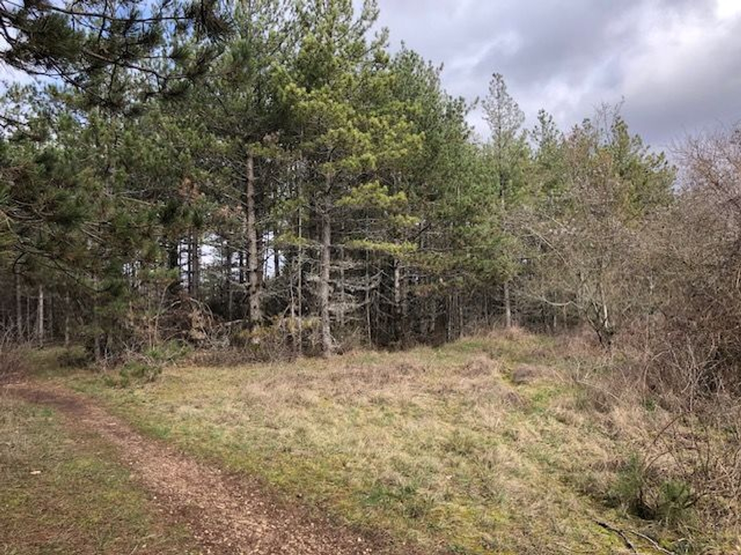 Terrain à vendre - 10000m2 - Dijon (21000)