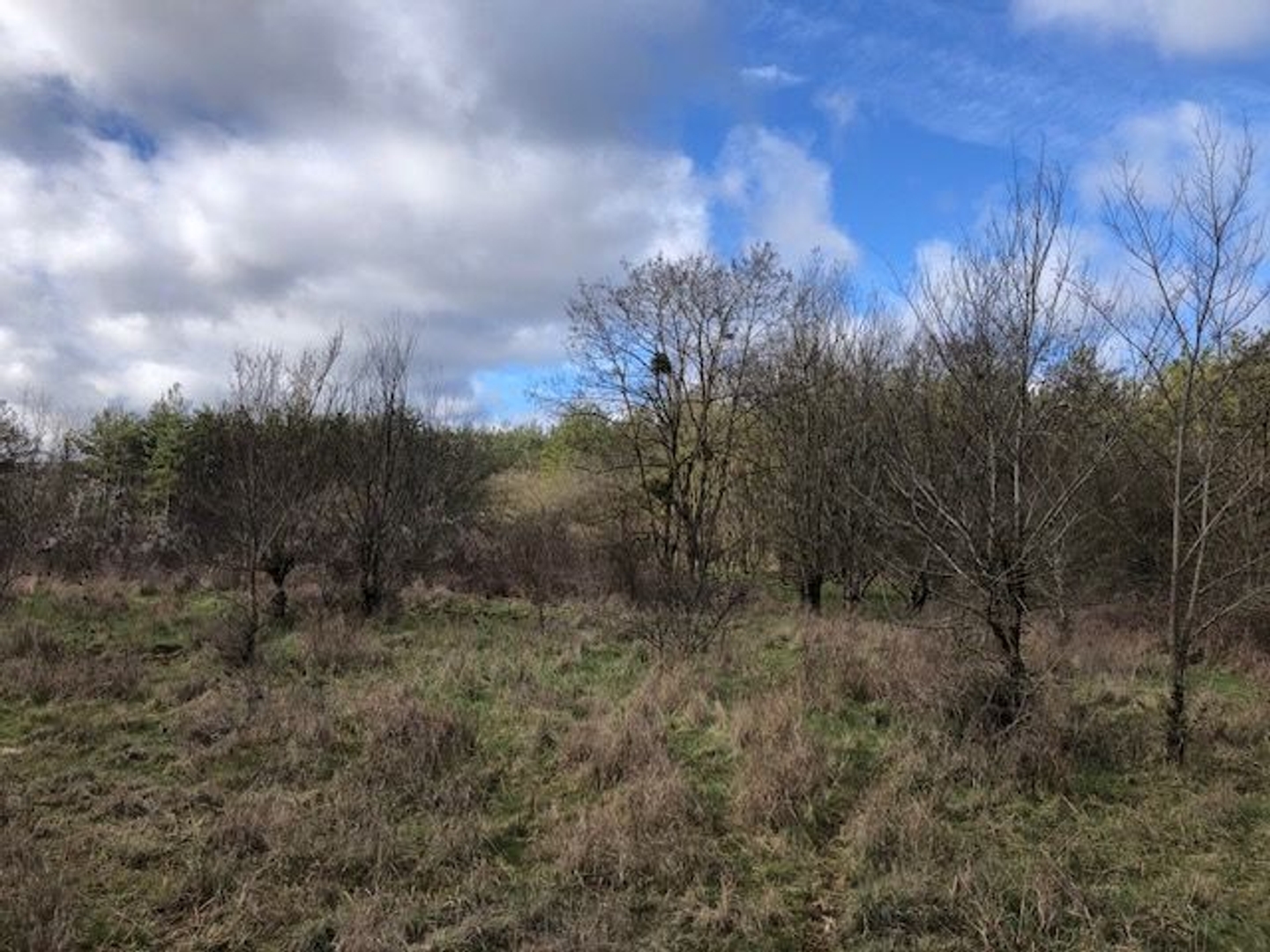 Terrain à vendre - 10000m2 - Dijon (21000)