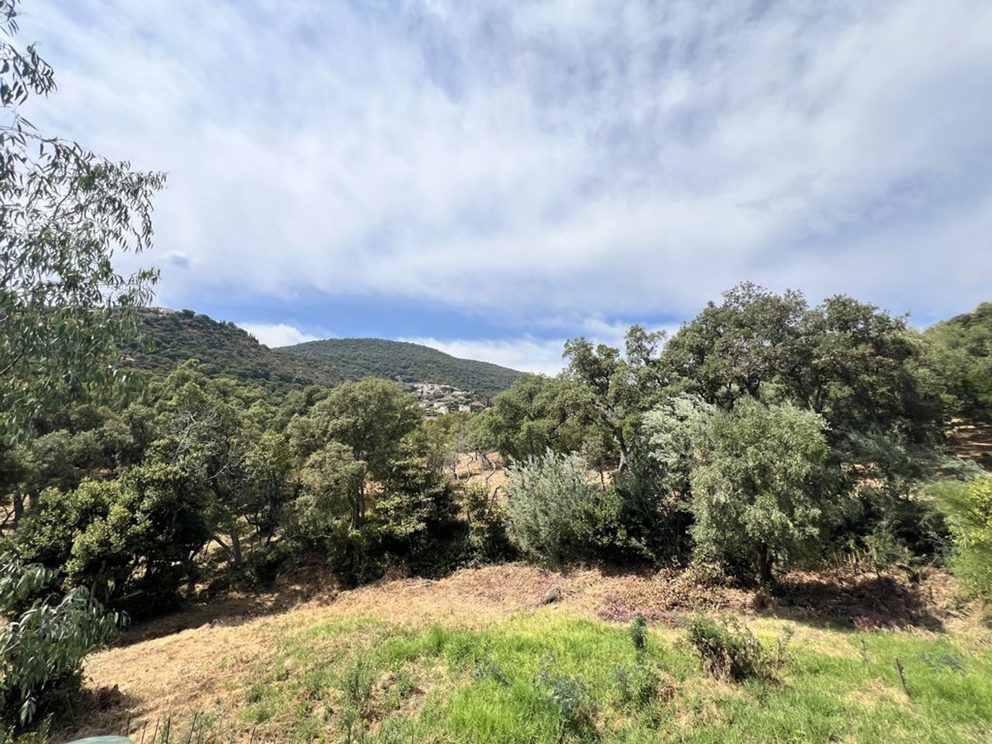 Maison à vendre - 5 pièces - 110m2 - Cavalaire-Sur-Mer (83240)