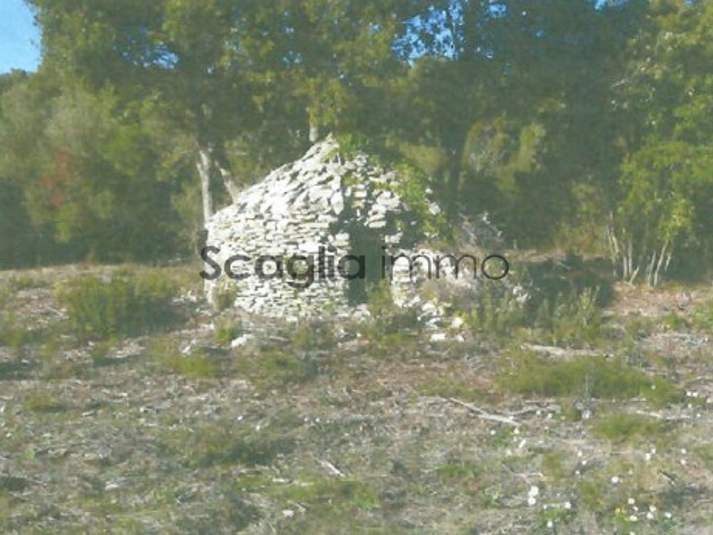 TERRAIN BONIFACIO 23 600 m2 - EXCLUSIVITE