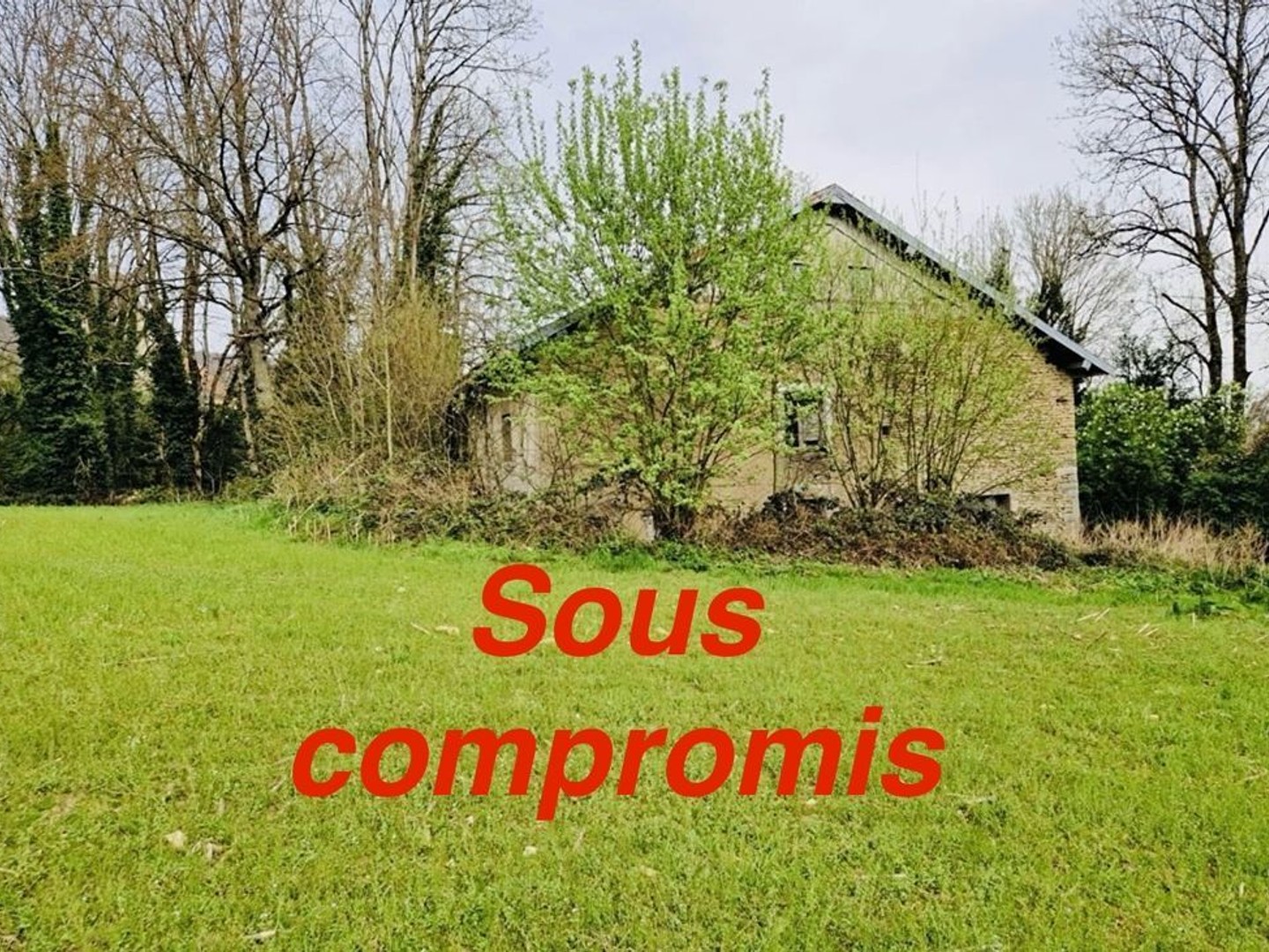 Maison 5 pièce(s) 300 m2