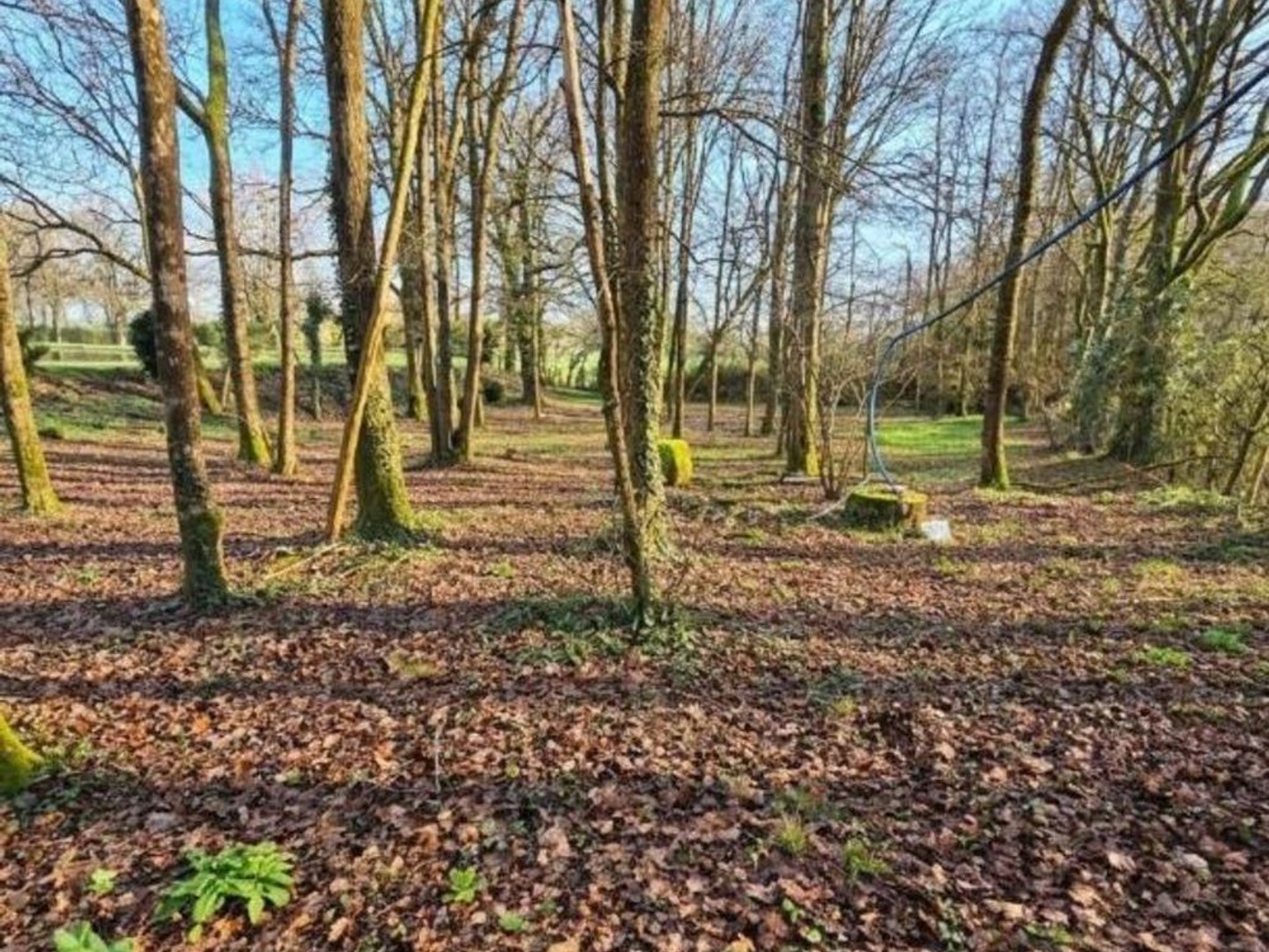 Terrain à vendre - Beaupréau-En-Mauges (49510)