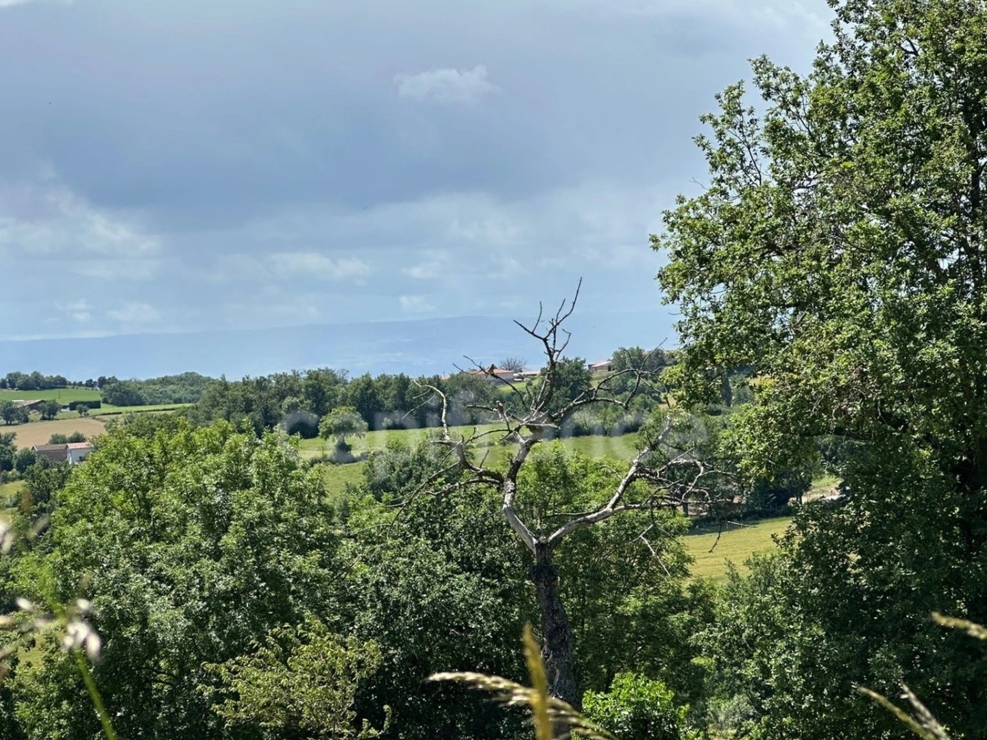 Maison à vendre - 10 pièces - 297m2 - Saint-Clément-Les... (69930)