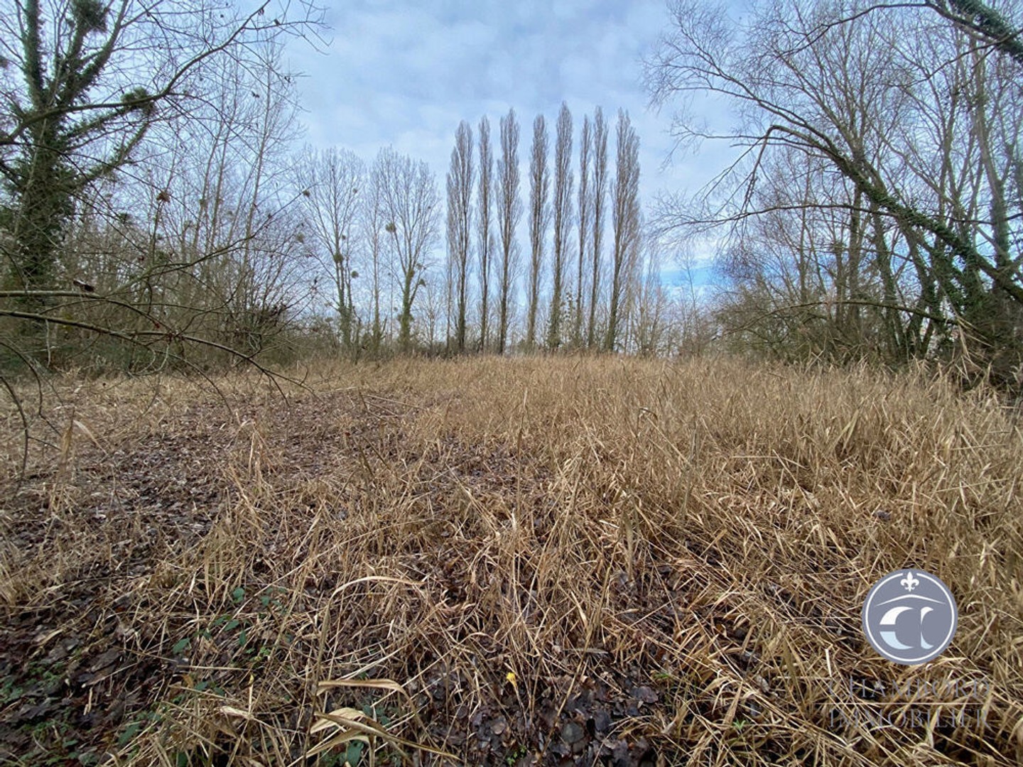 Terrain de Loisirs à Vendre dans le Controis en Sologne ? Cadre Verdoyant