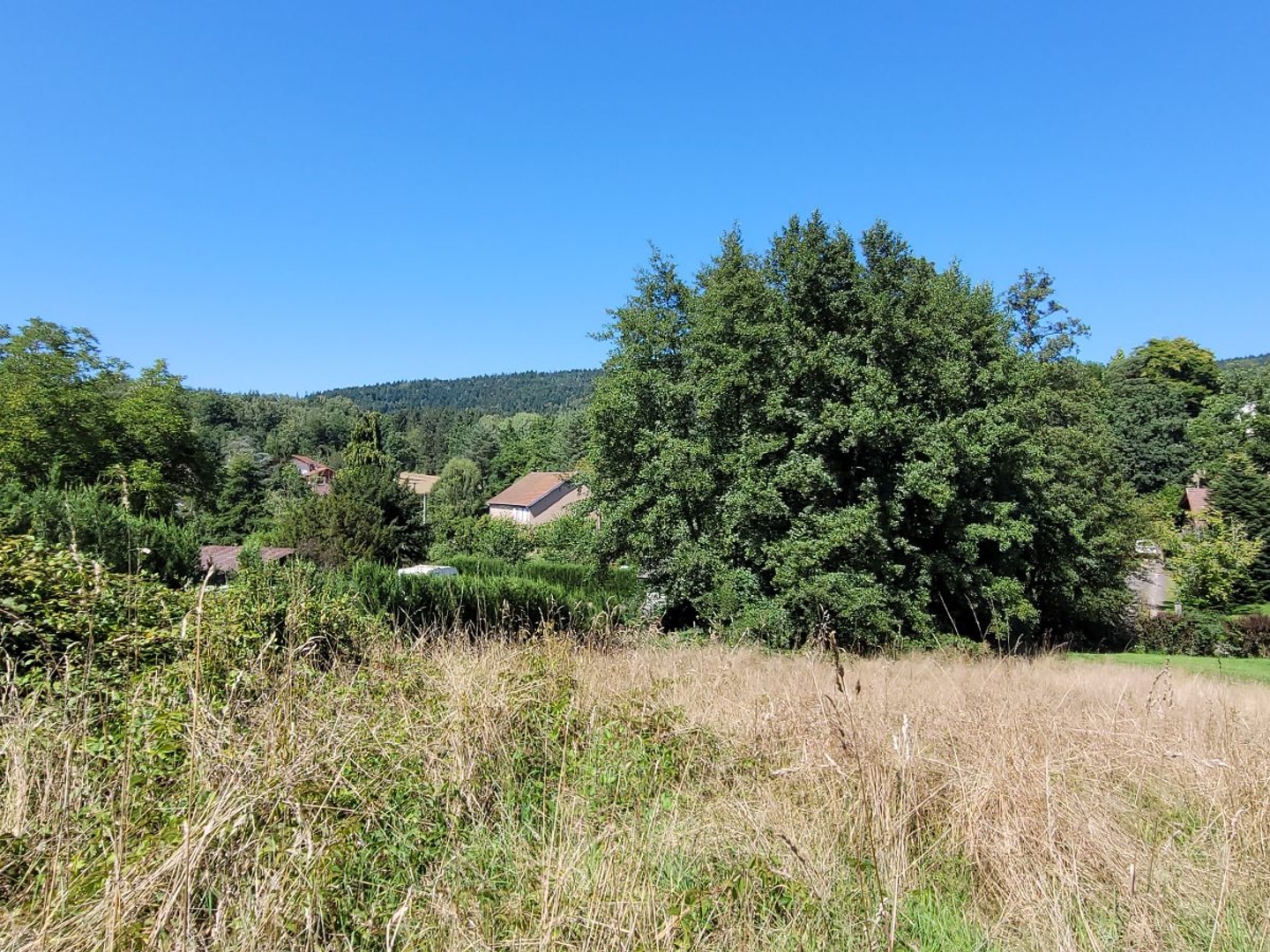 Terrain à vendre - 1528m2 - Saint-Dié-Des-Vosges (88100)