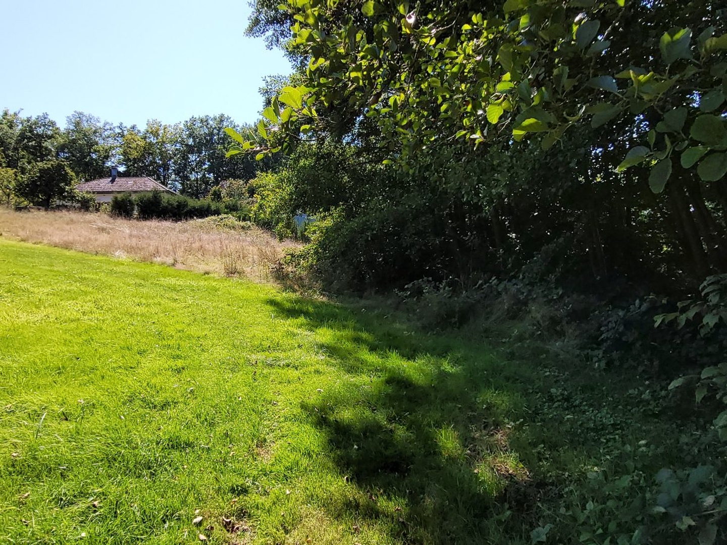 Terrain à vendre - 1528m2 - Saint-Dié-Des-Vosges (88100)