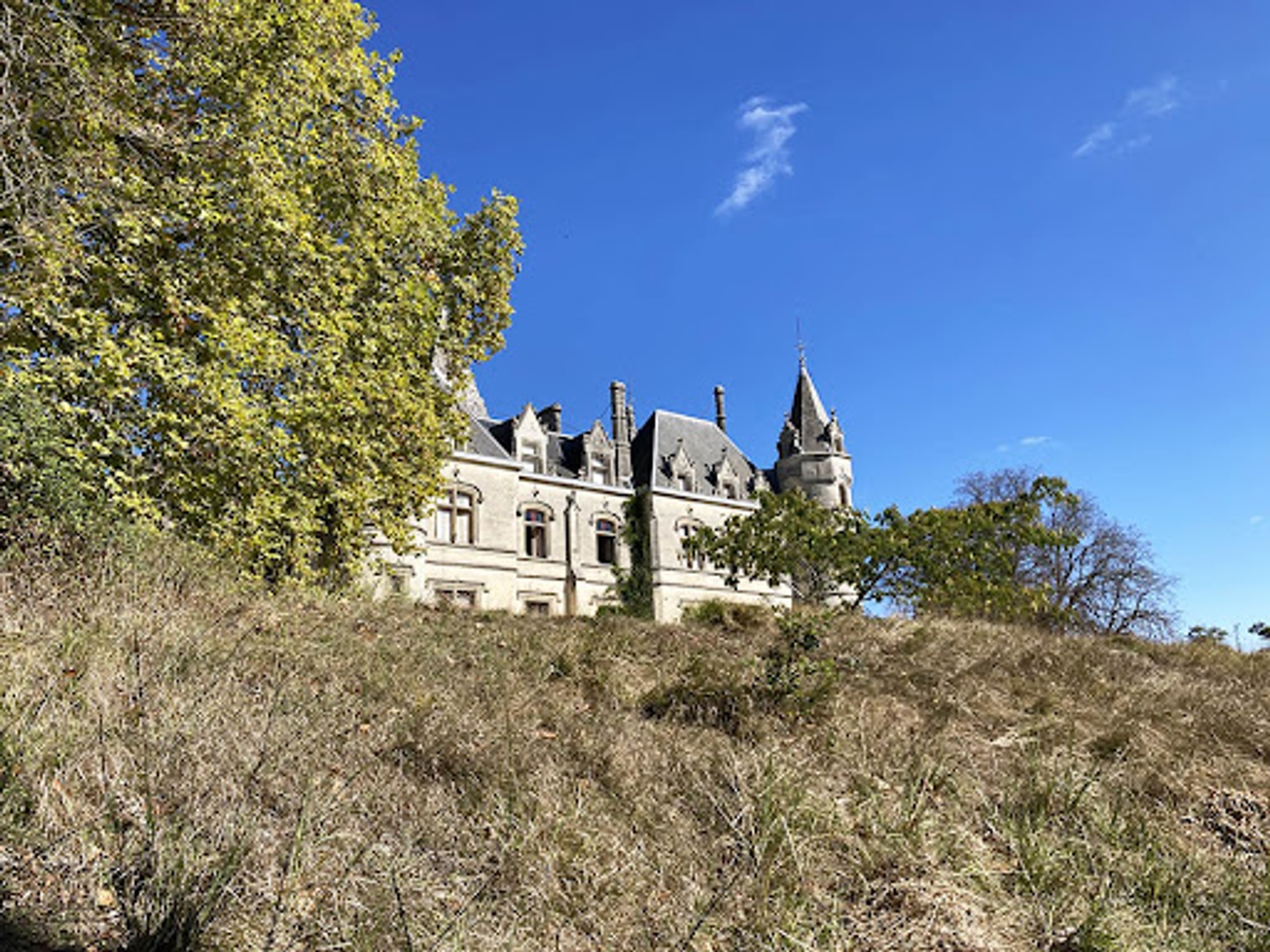 Maison à vendre - 450000m2 - Barbezieux-Saint-... (16300)