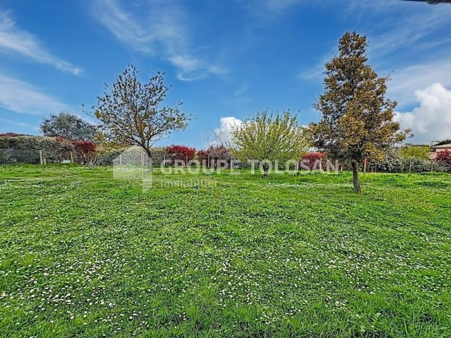 Locaux à vendre - 1 pièce - 100m2 - Lanta (31570)