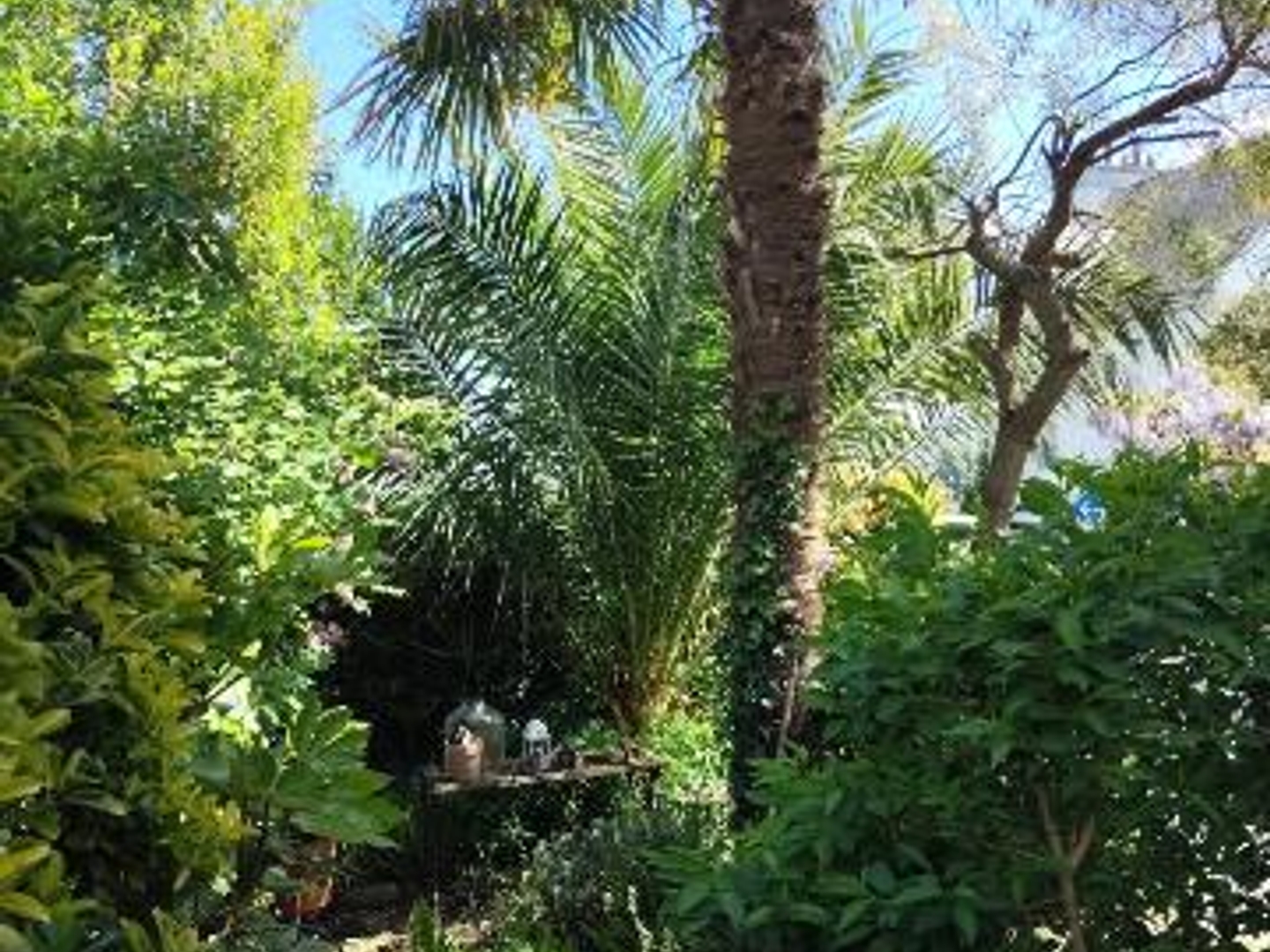Maison à vendre - 6 pièces - 120m2 - Morlaix (29600)