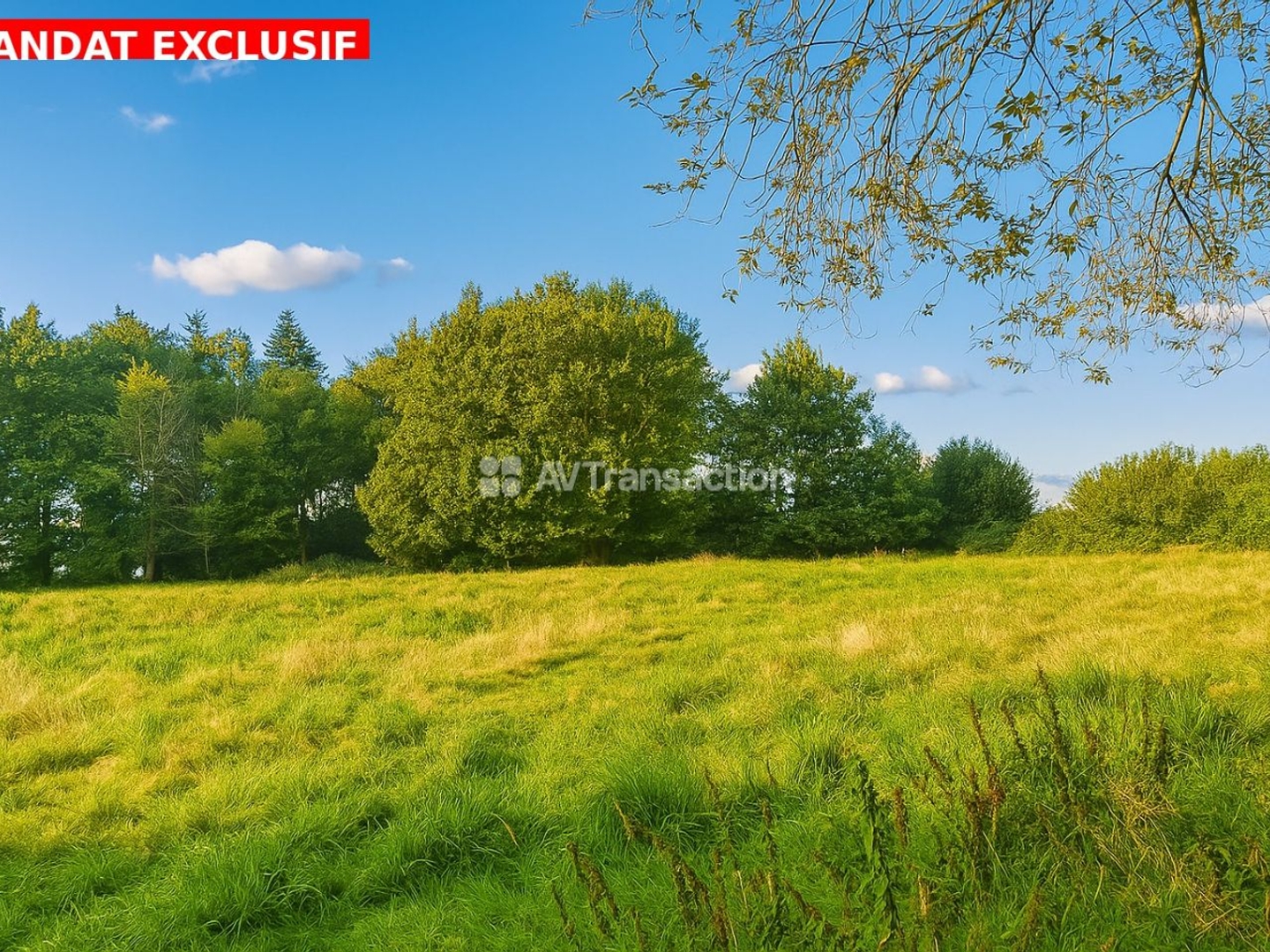 Terrain 2000 m2 à batir