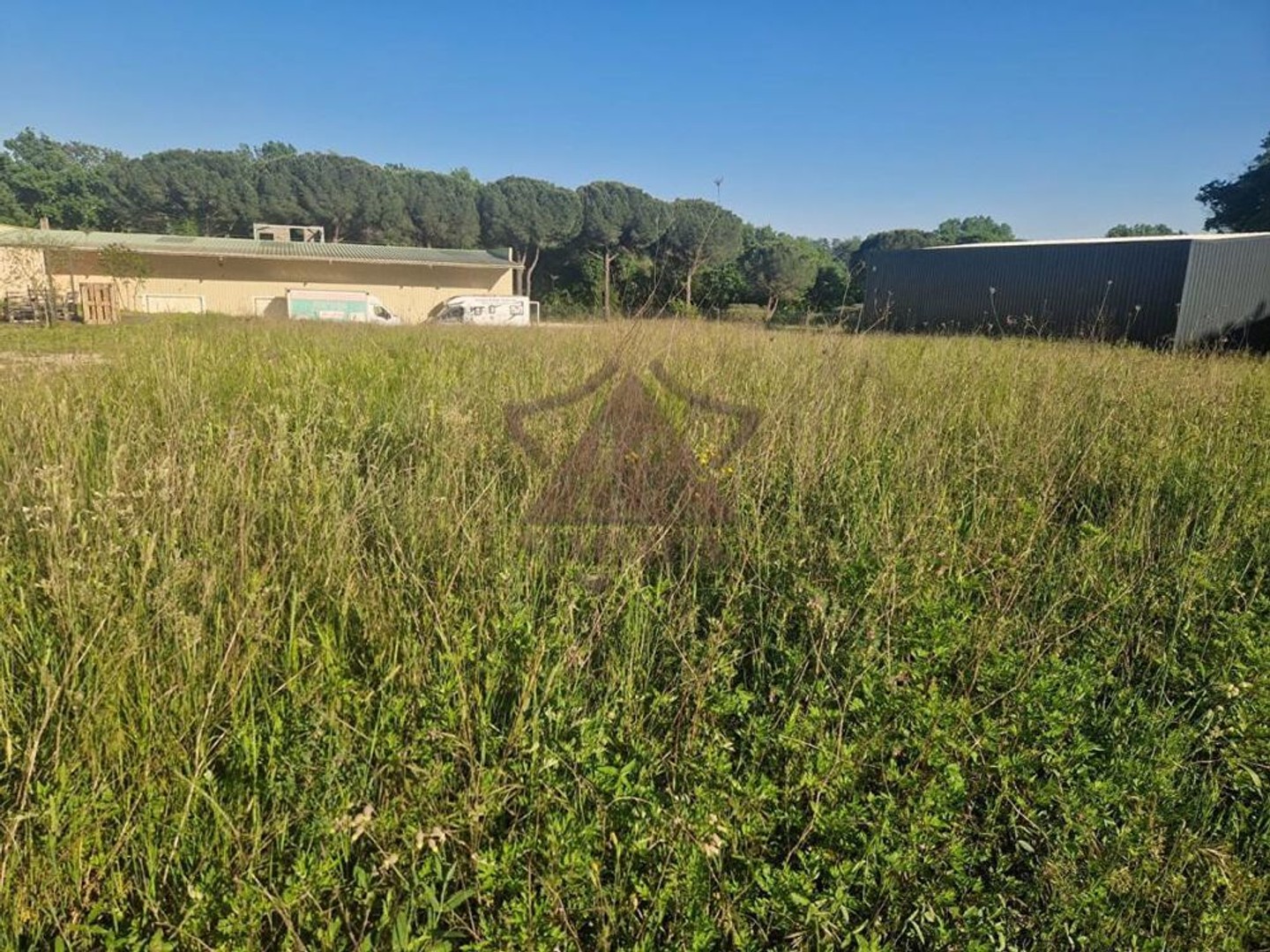 Terrain de plus de 1 000 m²