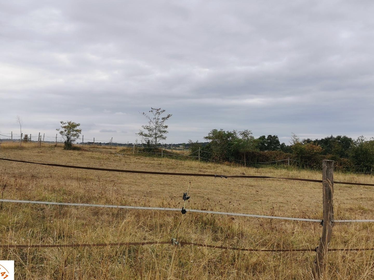 Terrain à vendre - 140000m2 - Belmont (32190)