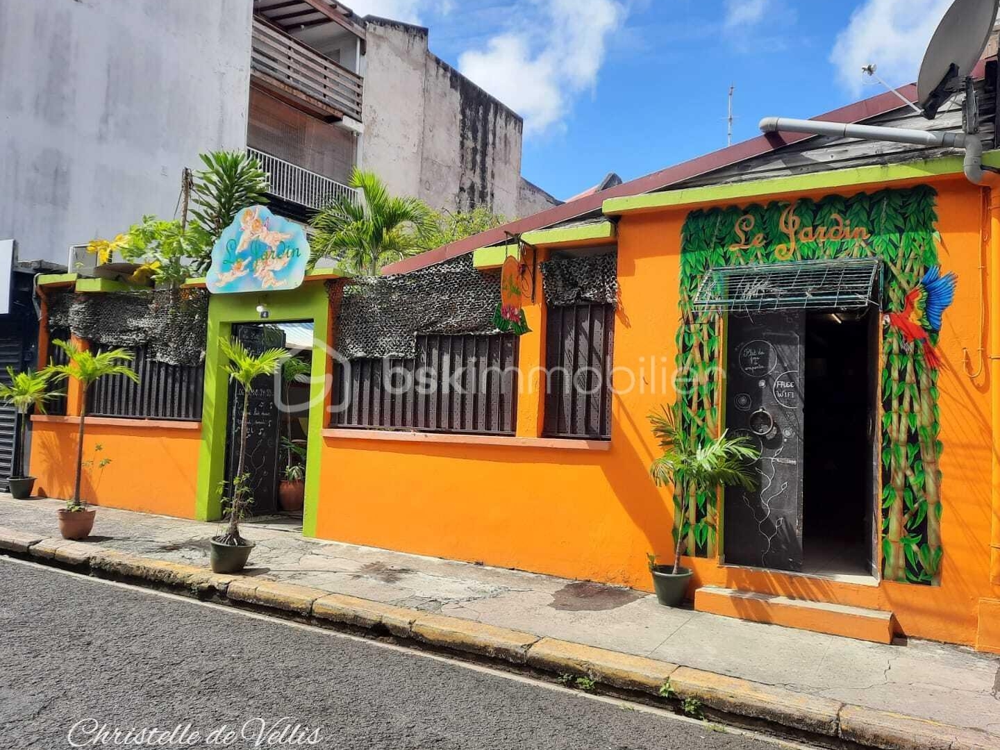 Locaux à vendre - Pointe-À-Pitre (97110)
