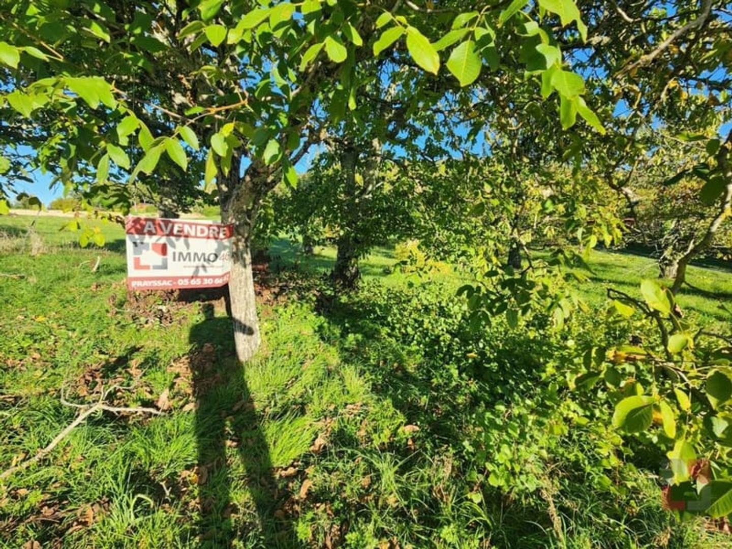 Terrain à vendre - 1628m2 - Saint-Vincent-Riv... (46140)