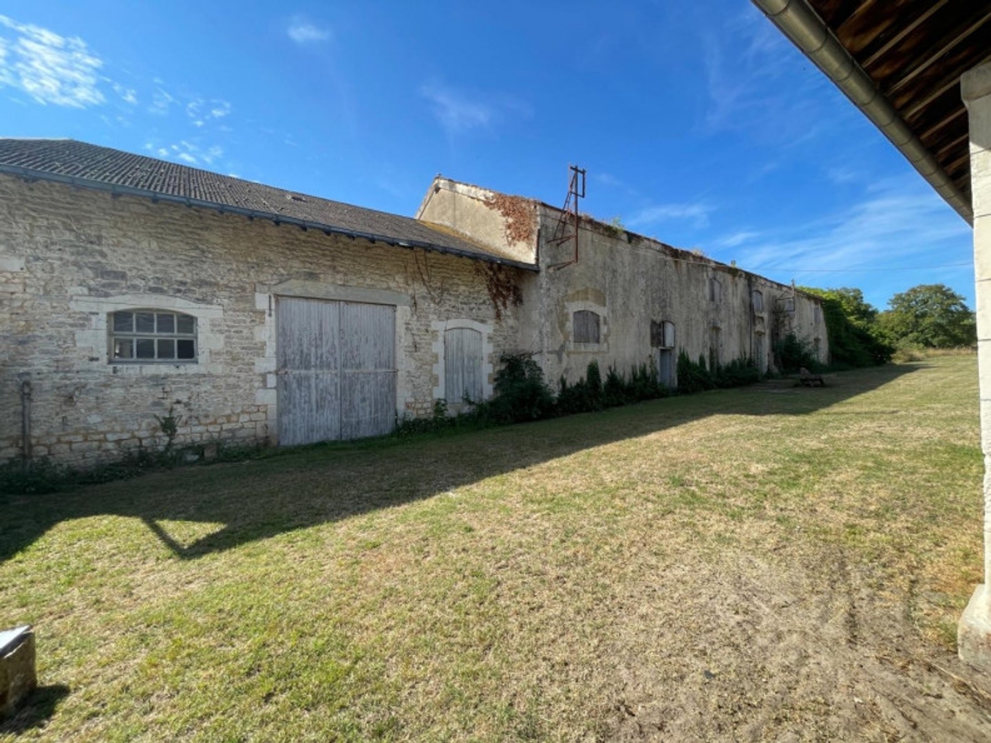 Local 705 m²