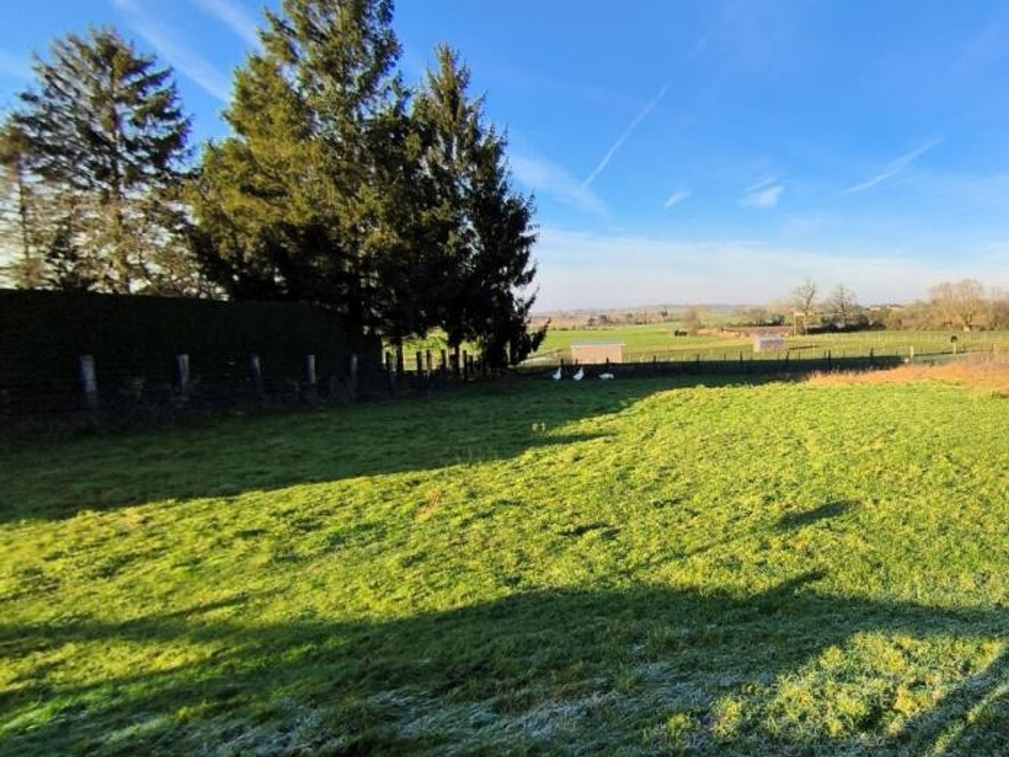 Terrain Cuy Saint Fiacre 887 m2