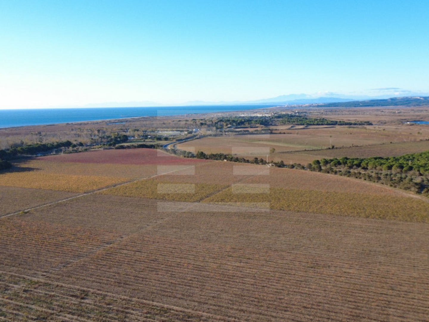 Terrain viticole 174000 m²