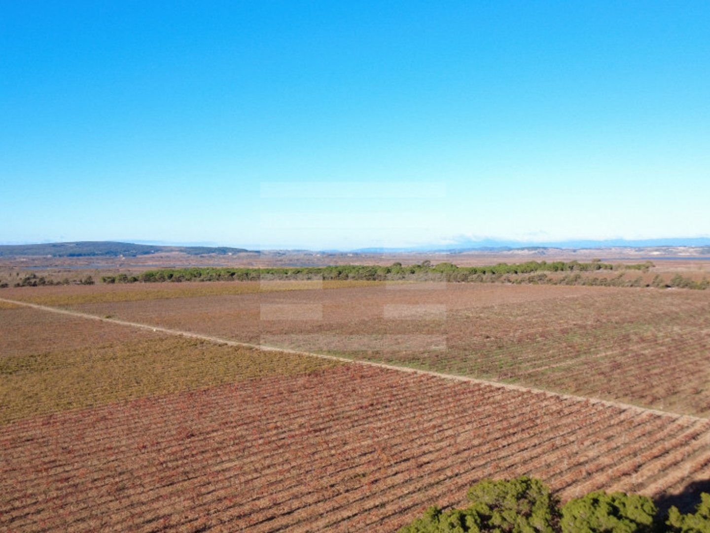 Terrain à vendre - 174000m2 - Béziers (34500)