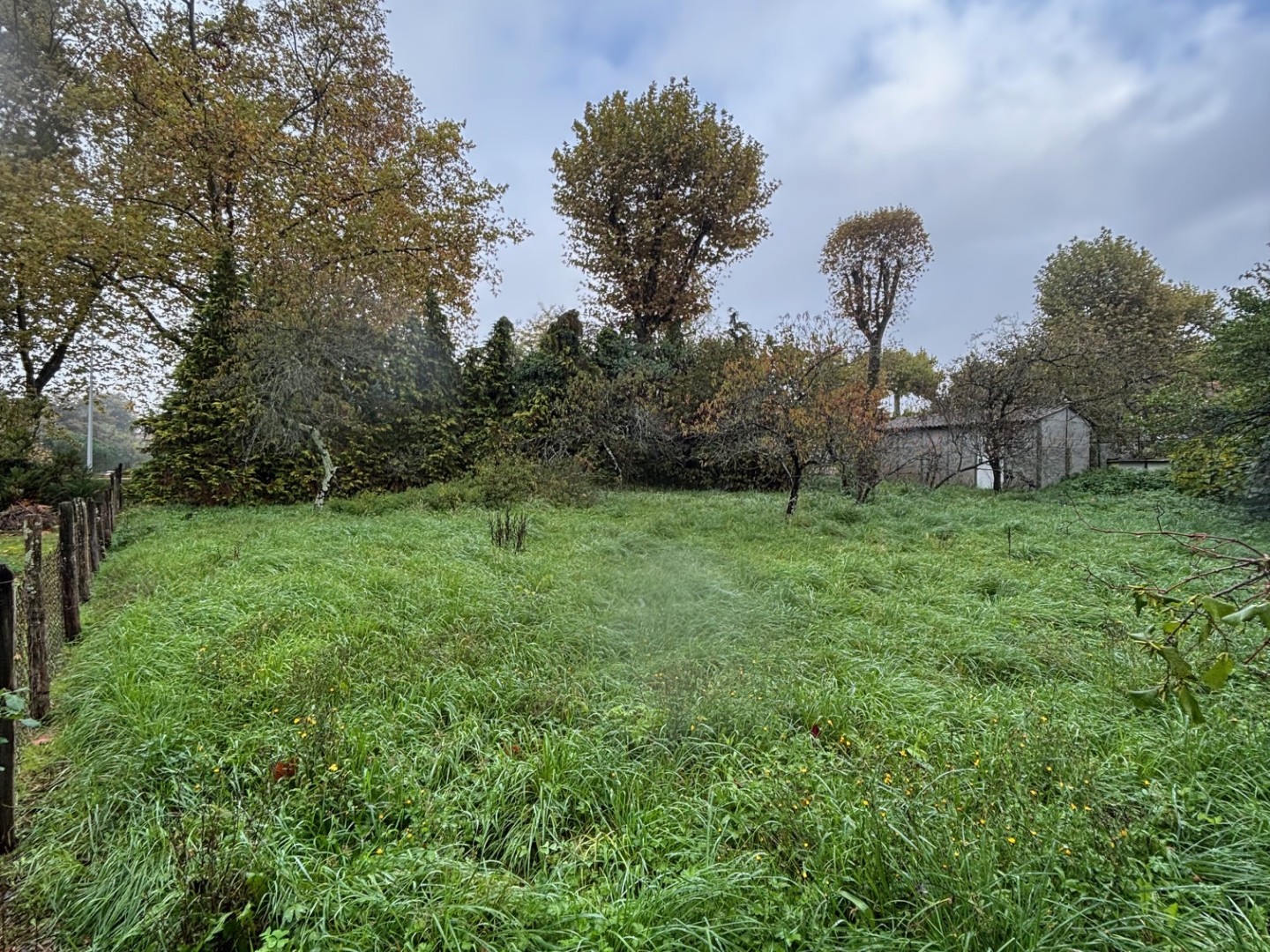 Terrain constructible