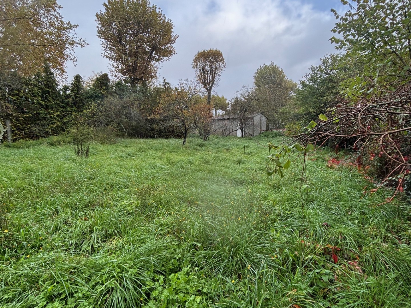 Terrain à vendre - 740m2 - Eauze (32800)