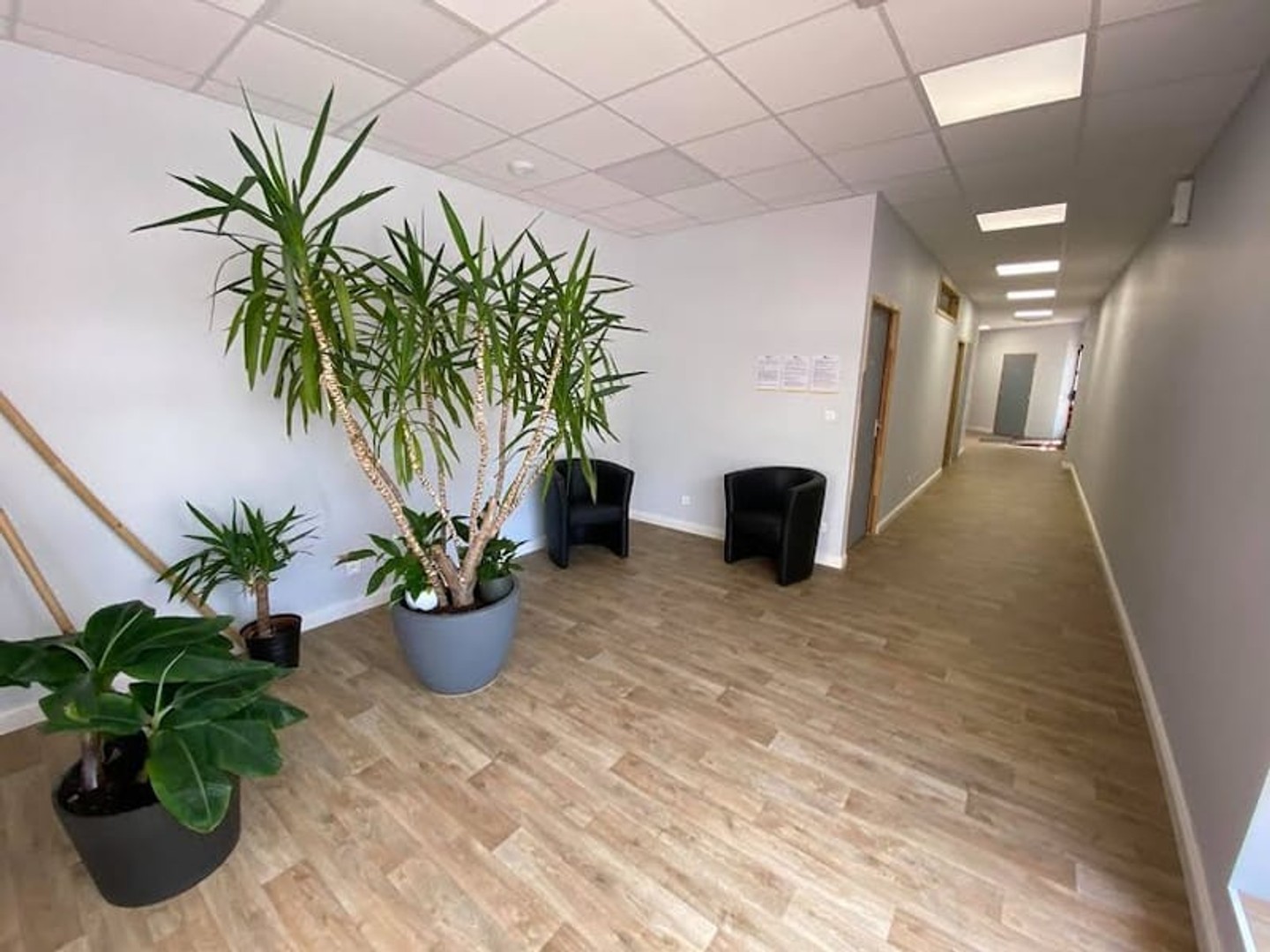 Immeuble 237 m²
