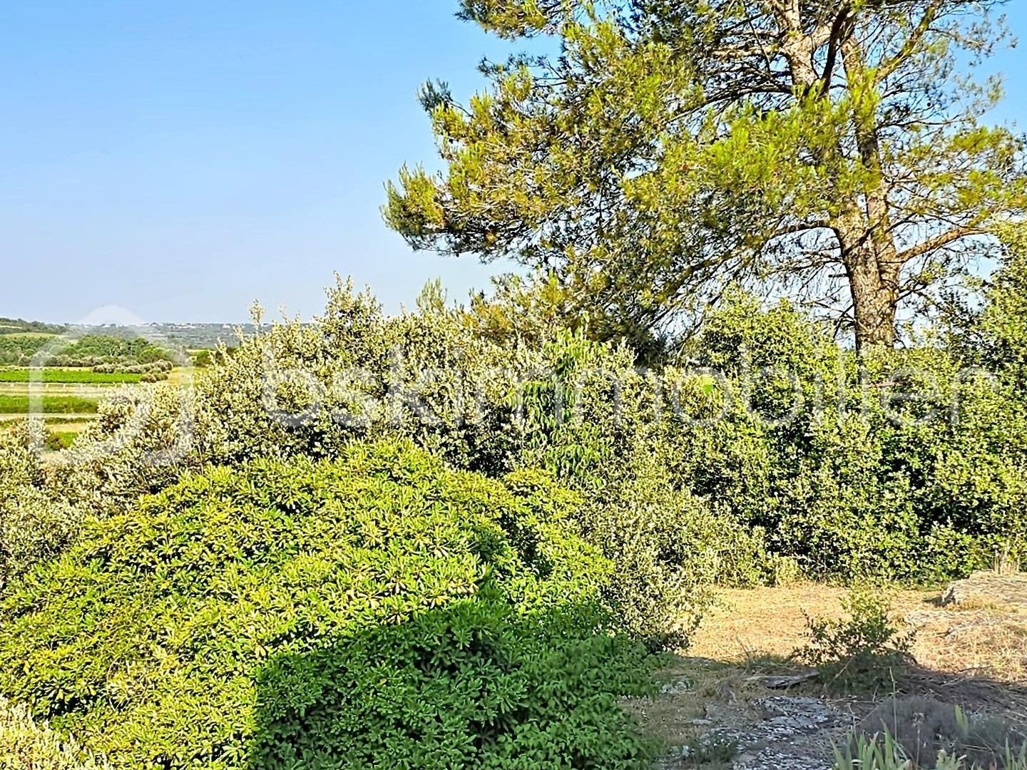 Maison à vendre - 4 pièces - 154m2 - Vers-Pont-Du-Gard (30210)