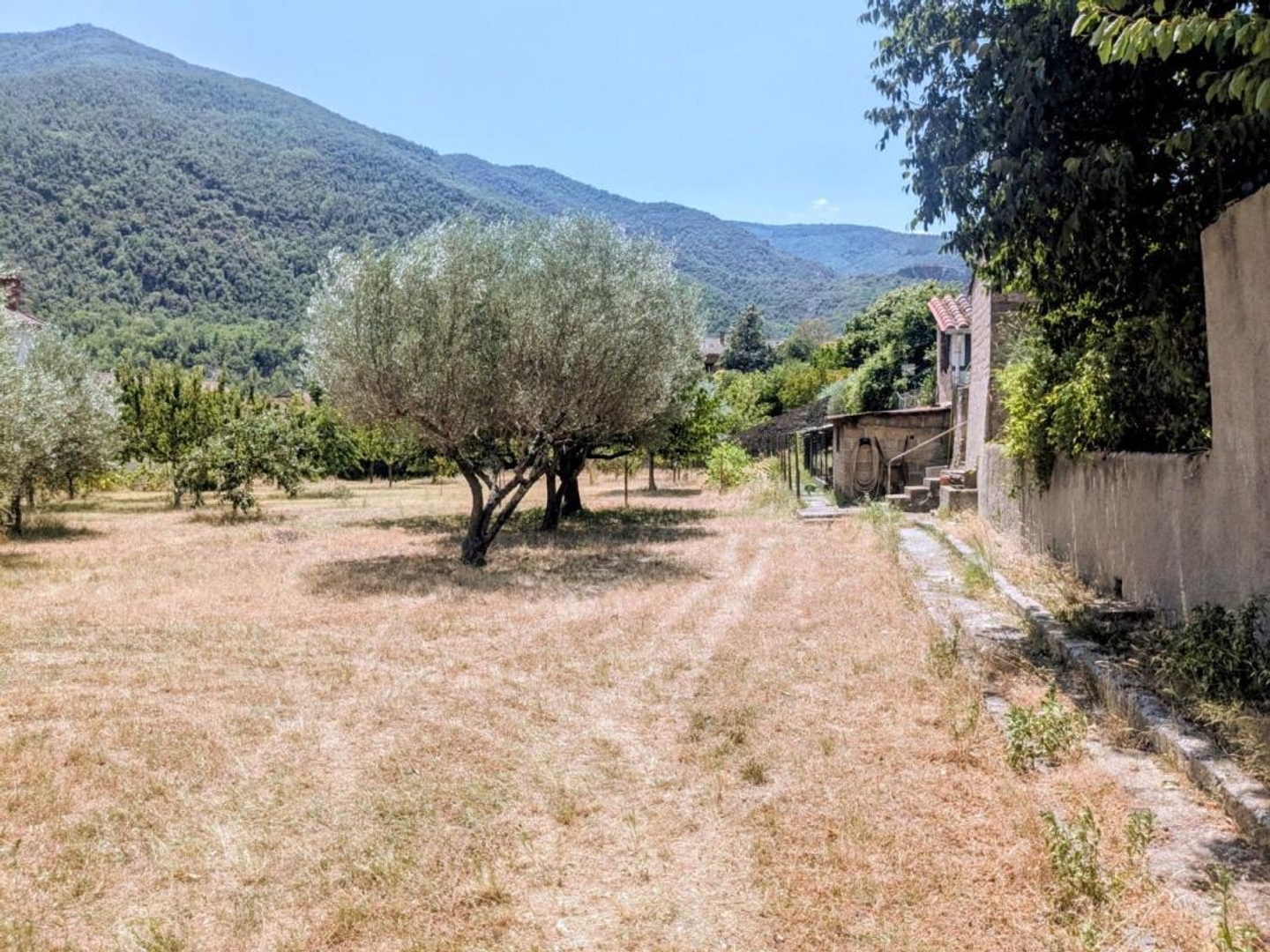 Terrain à vendre - 1550m2 - Arles-Sur-Tech (66150)