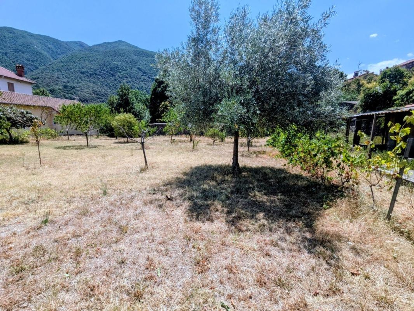 Terrain à vendre - 1550m2 - Arles-Sur-Tech (66150)