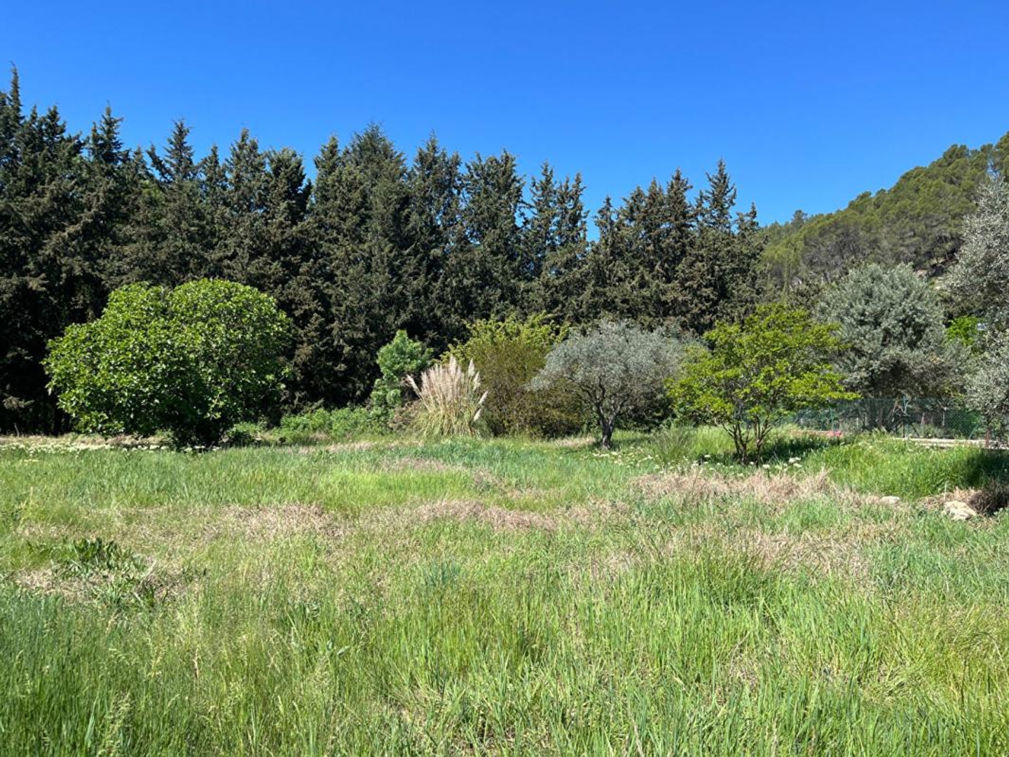 Maison à vendre - 3 pièces - 112m2 - Montfort-Sur-Argens (83570)
