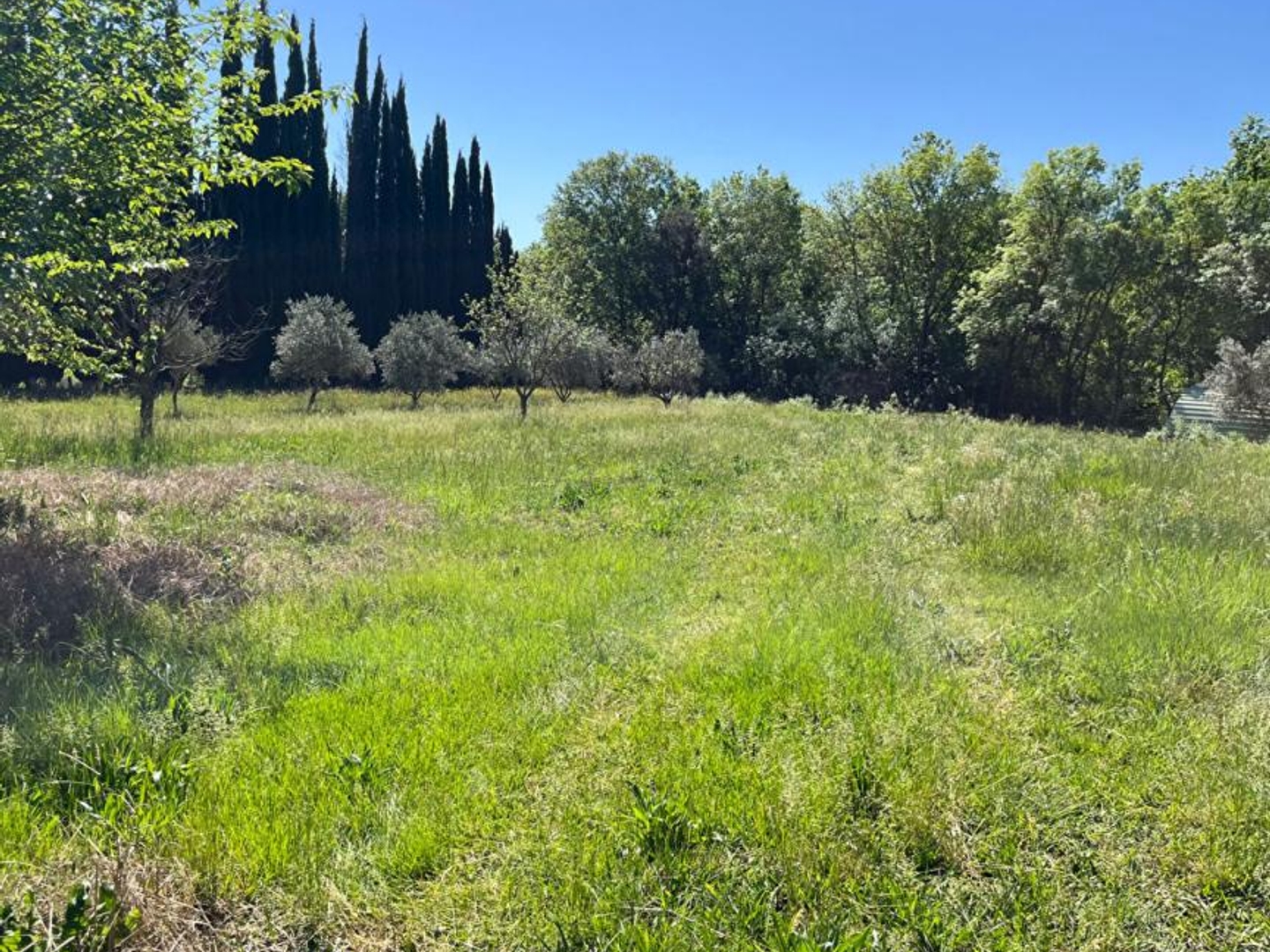 Maison à vendre - 3 pièces - 112m2 - Montfort-Sur-Argens (83570)