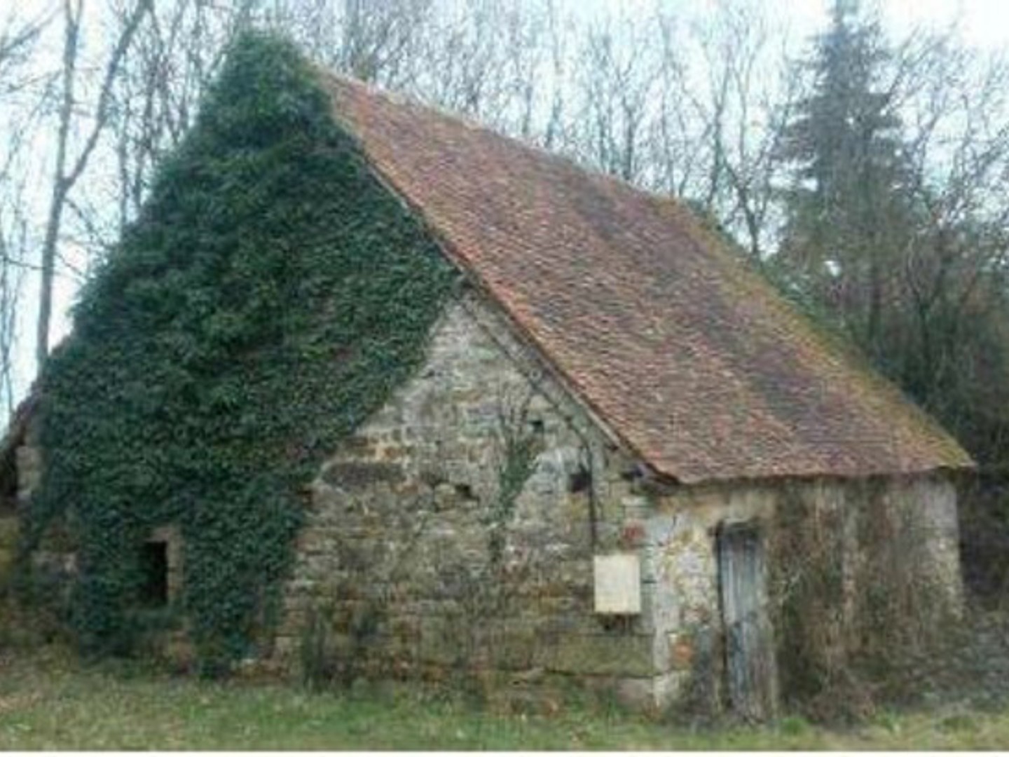 Dpt Orne (61), à vendre GRANGE de 90 m2 à rénover sur terrain de 1539 m2