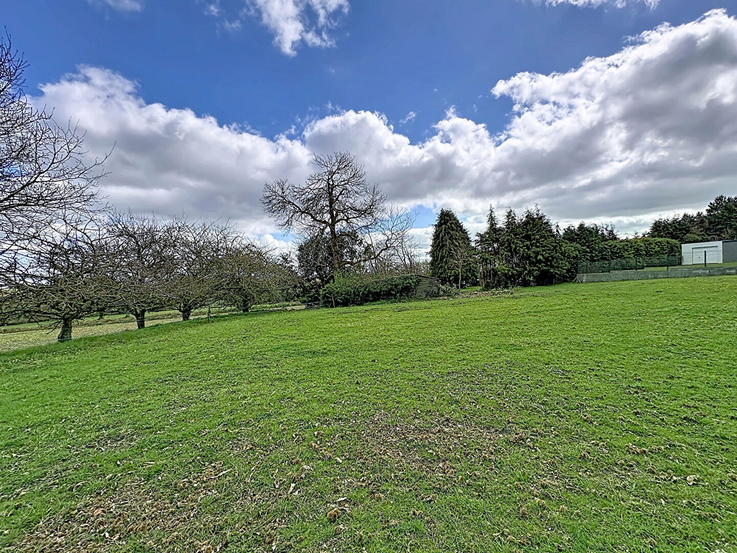 Terrain à vendre - 800m2 - Saint-Donan (22800)