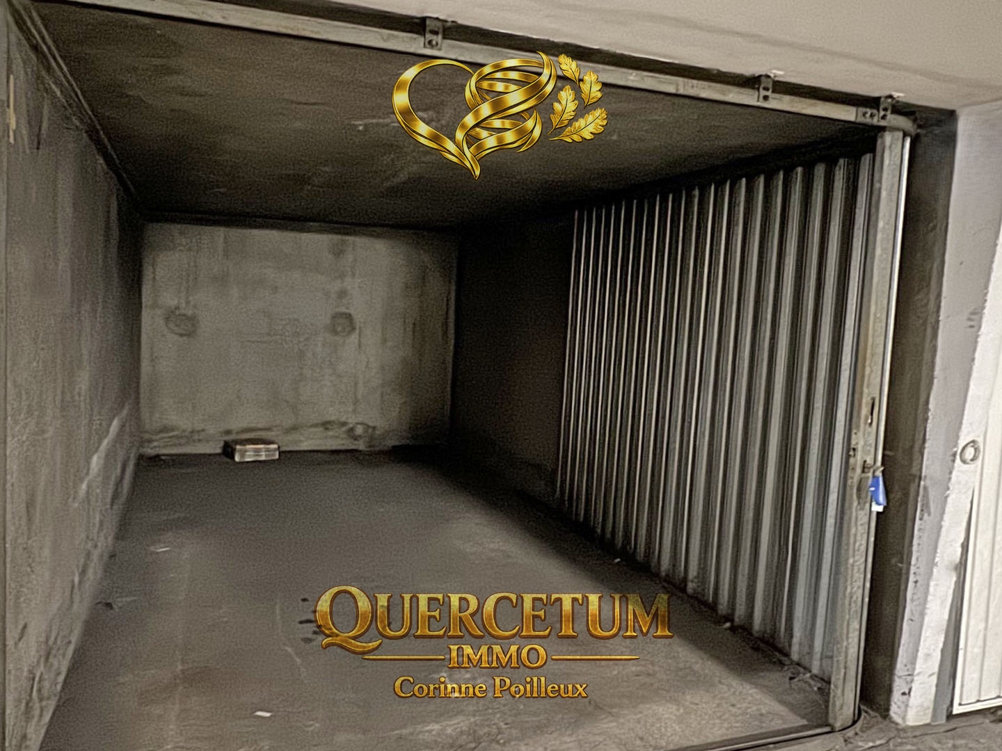 Parking / garage / box à vendre - Le Chesnay-Rocque... (78150)