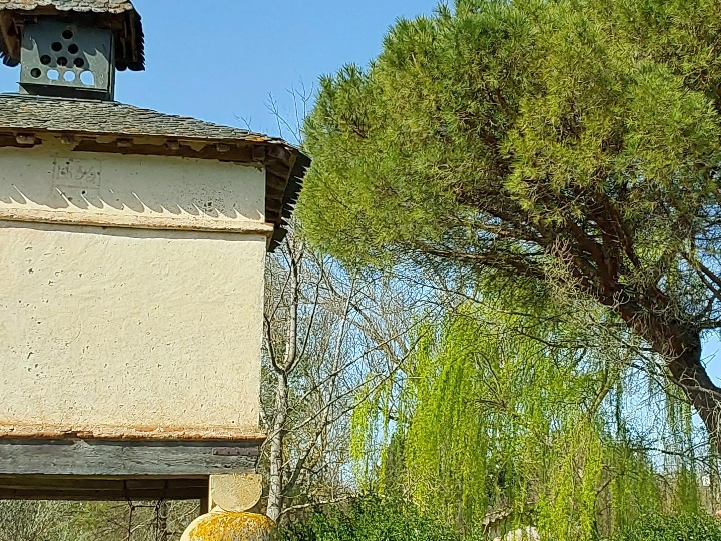 Maison à vendre - 12 pièces - 20000m2 - Castres (81100)