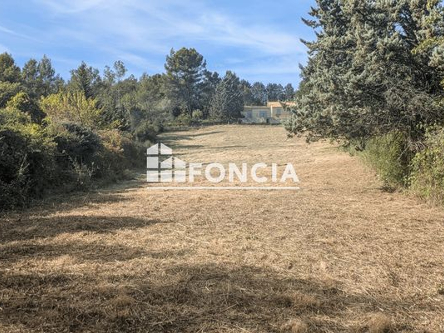 Terrain 3158 m²