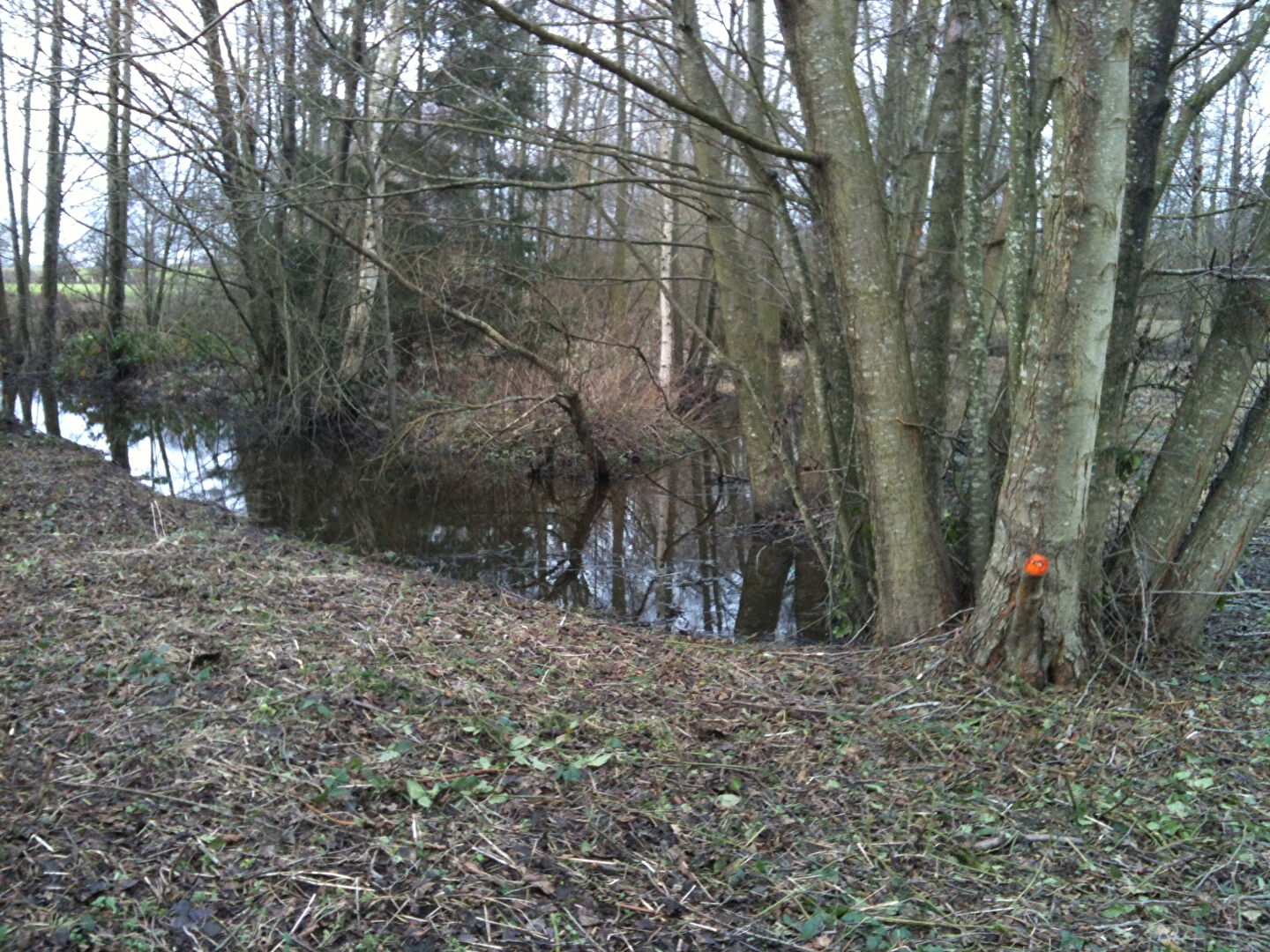 Terrain de loisirs à 5min de Gournay-en-Bray