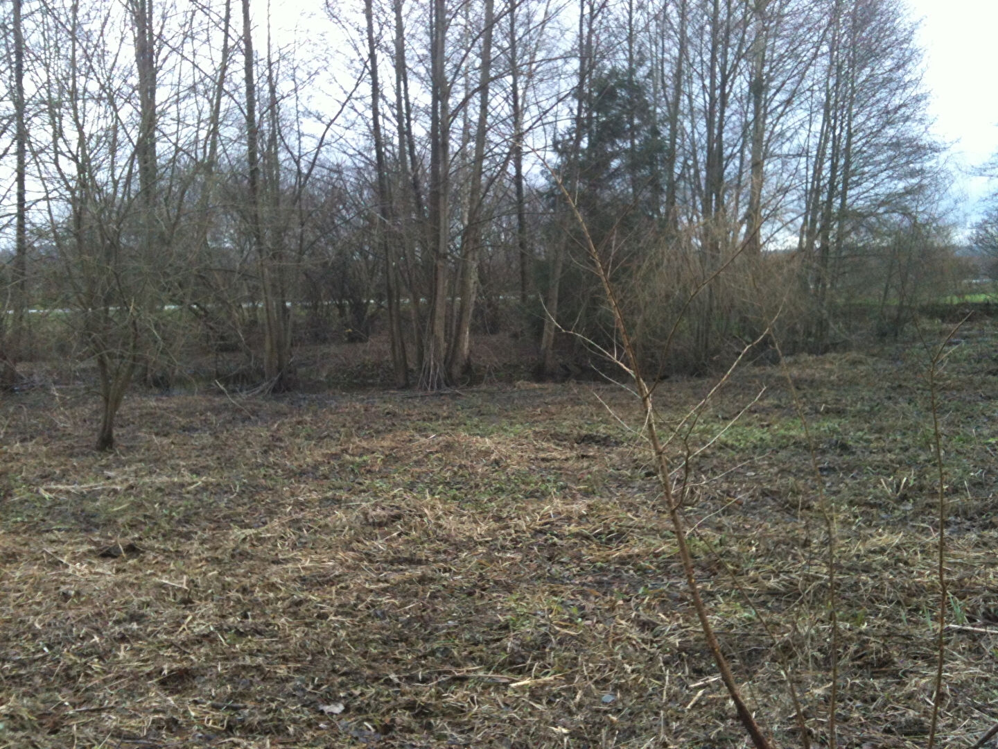 Terrain à vendre - Gournay-En-Bray (76220)